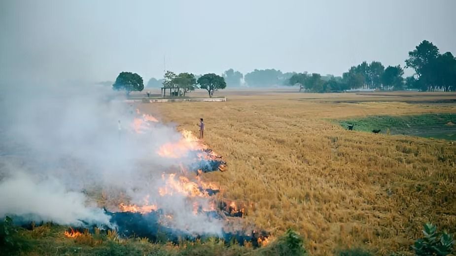 Types of Farming - Shifting Cultivation.jpeg