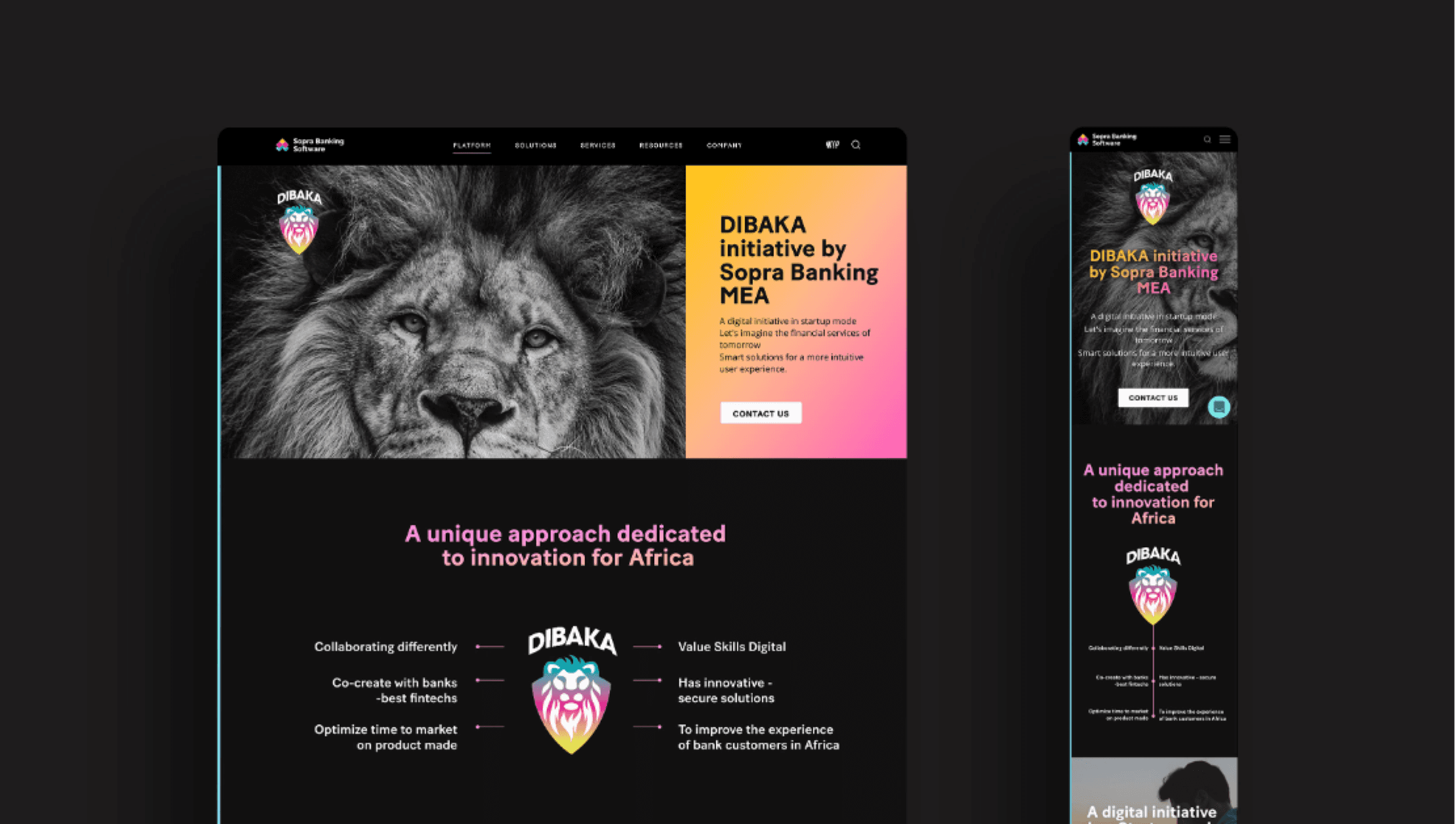 Image project Dibaka