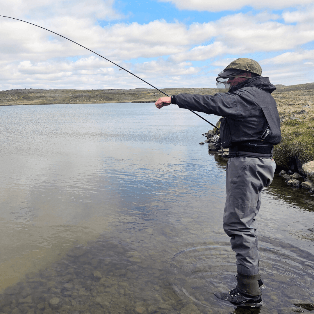 Island, Brown Trout, Arctic char, fjeldørred