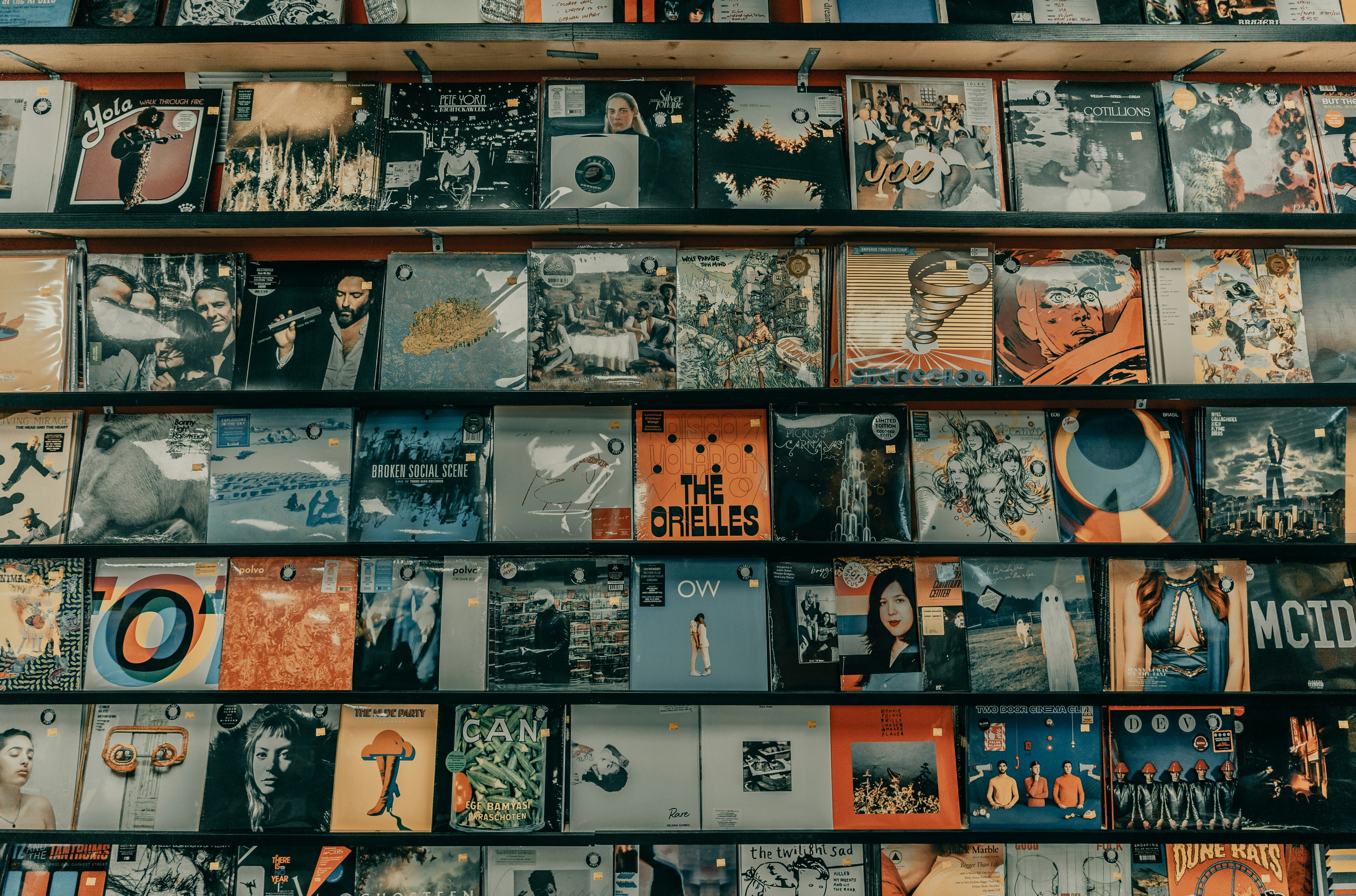 Wall of vinyl records