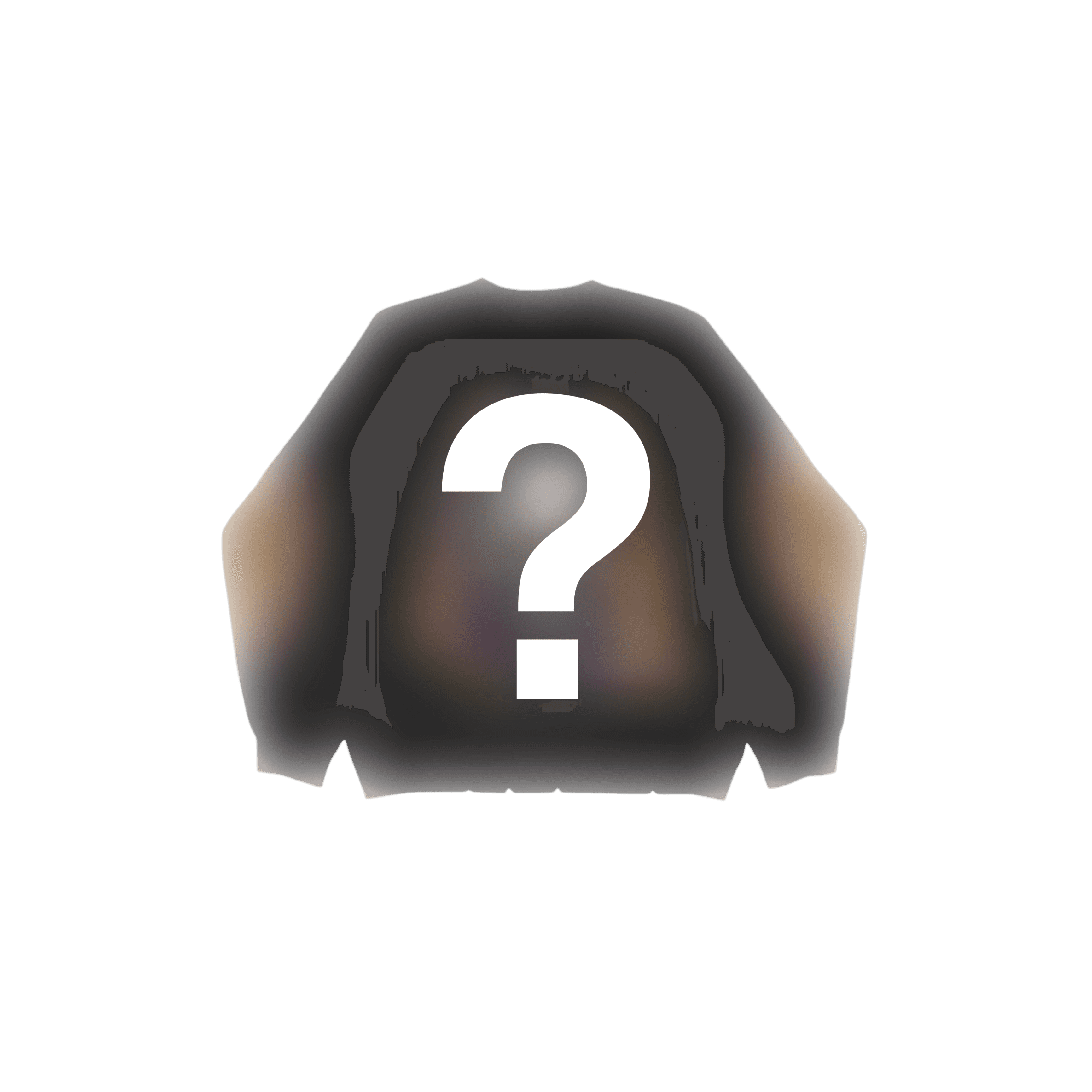 MYSTERY CLOTHING ITEM