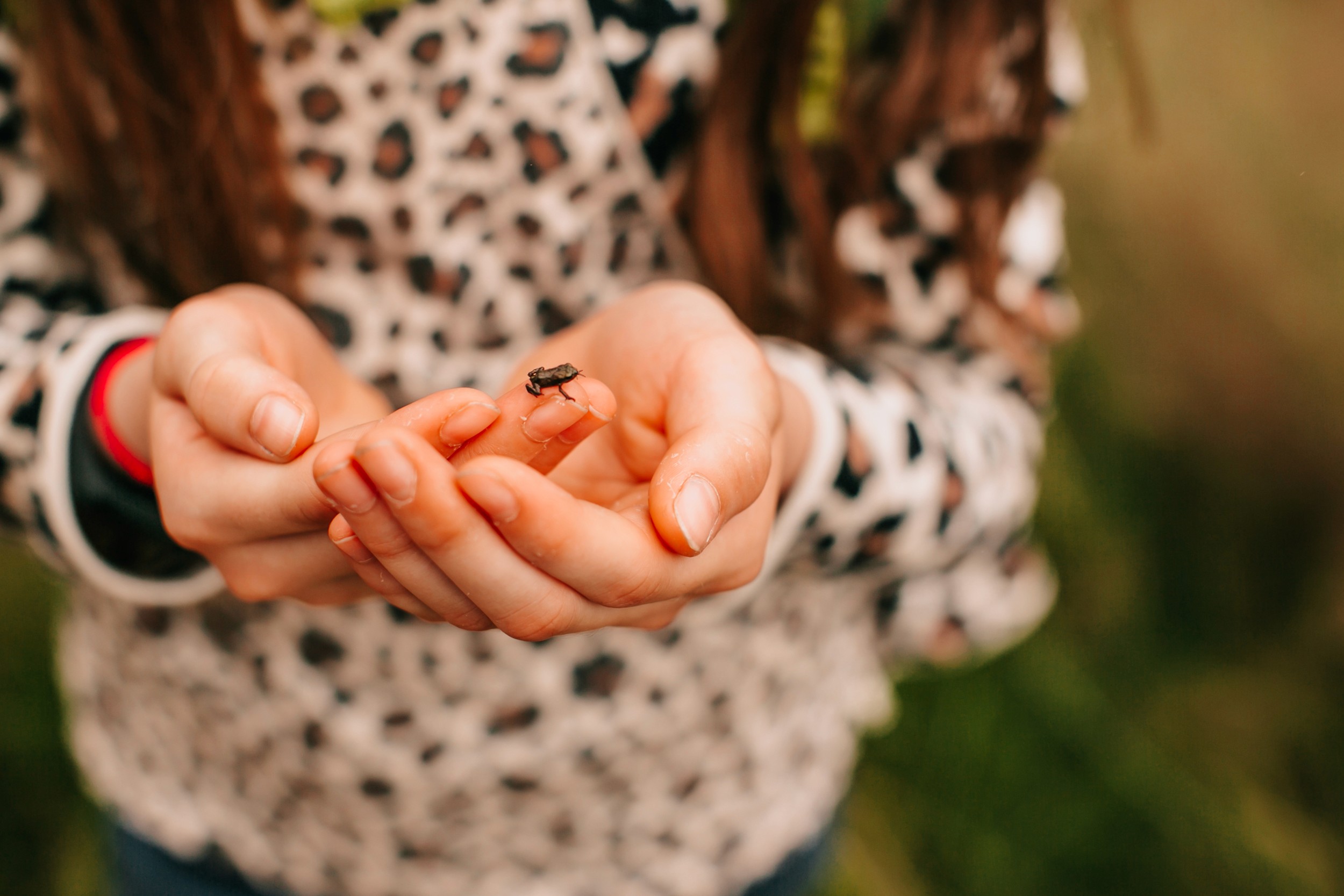 Mädchen Hände mit einem Mulch in der Hand