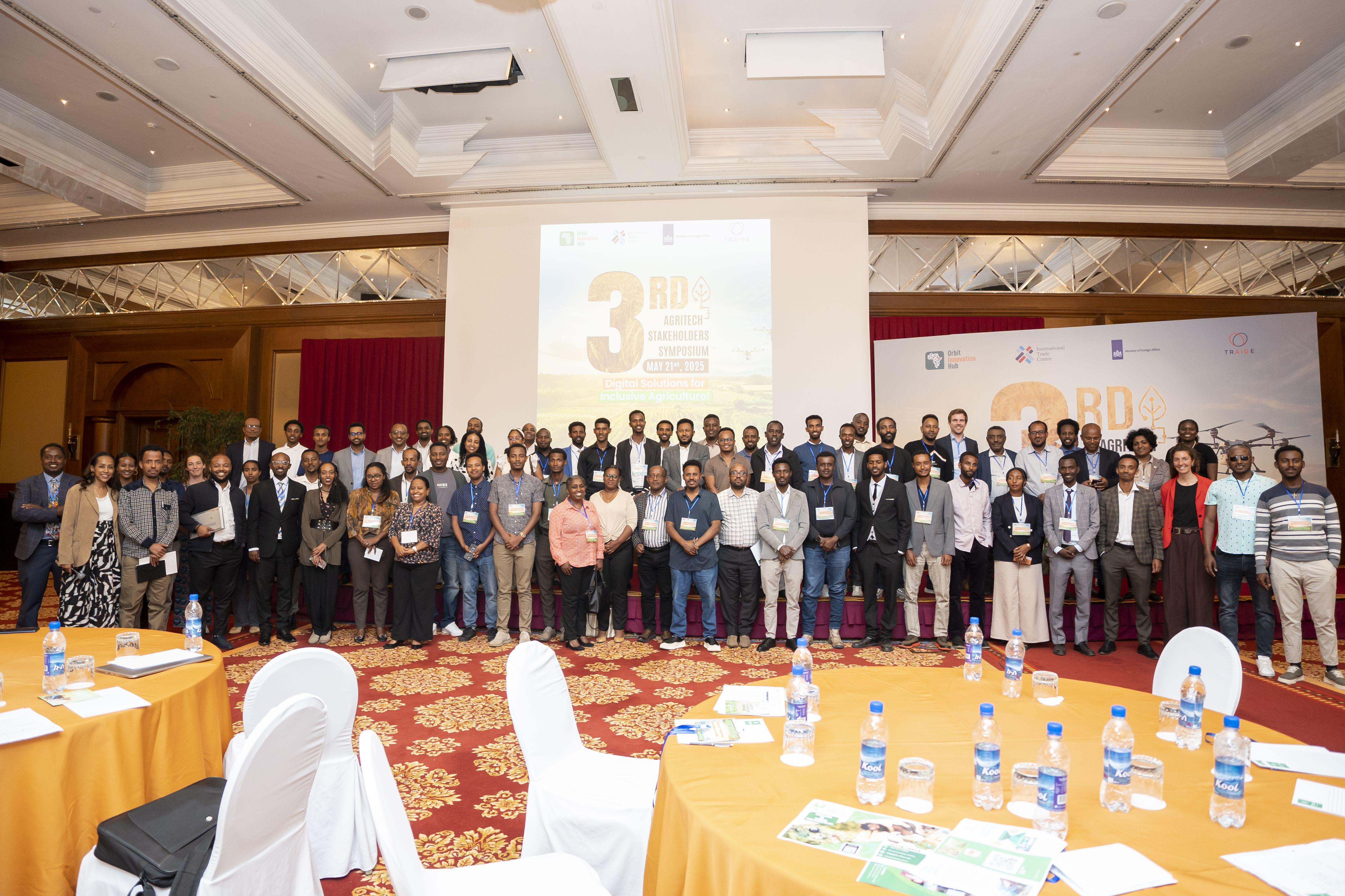Close-up of a tree stump showing growth rings and a textured brown wood surface.