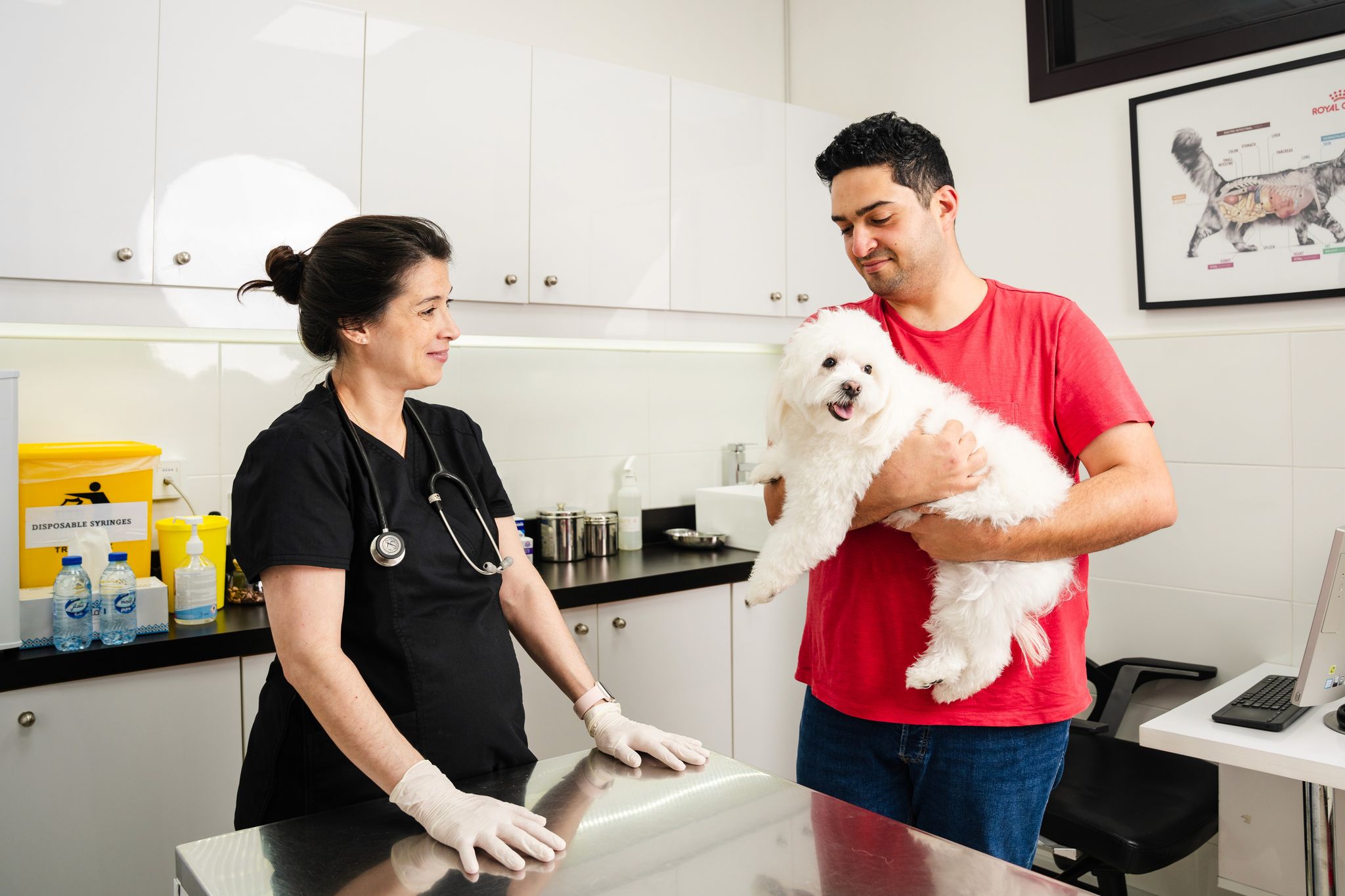 A veterinarian is advising a pet owner who is holding his white dog. 