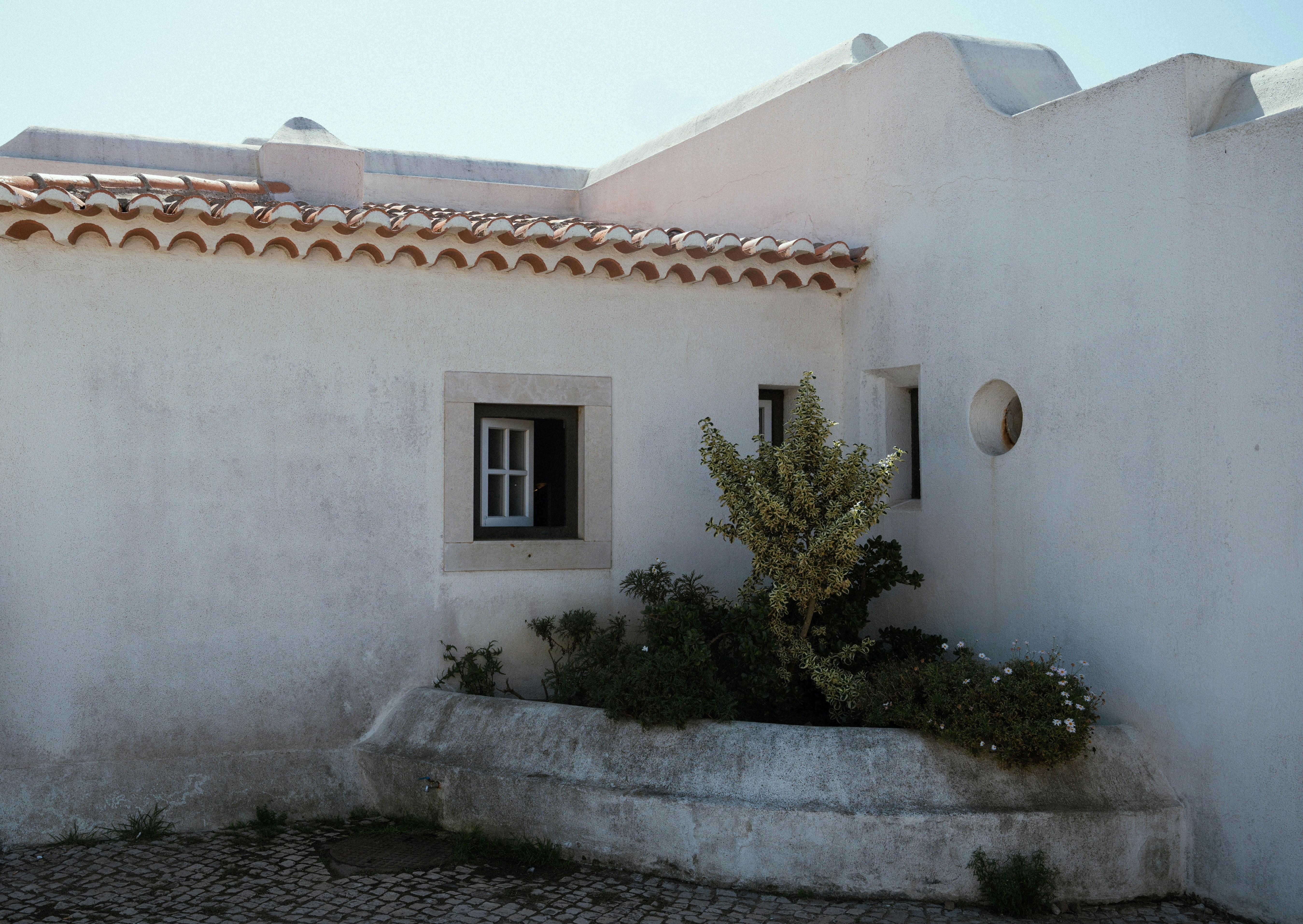 Whitewashed farmhouse wall with a terracotta roof and a planted bed