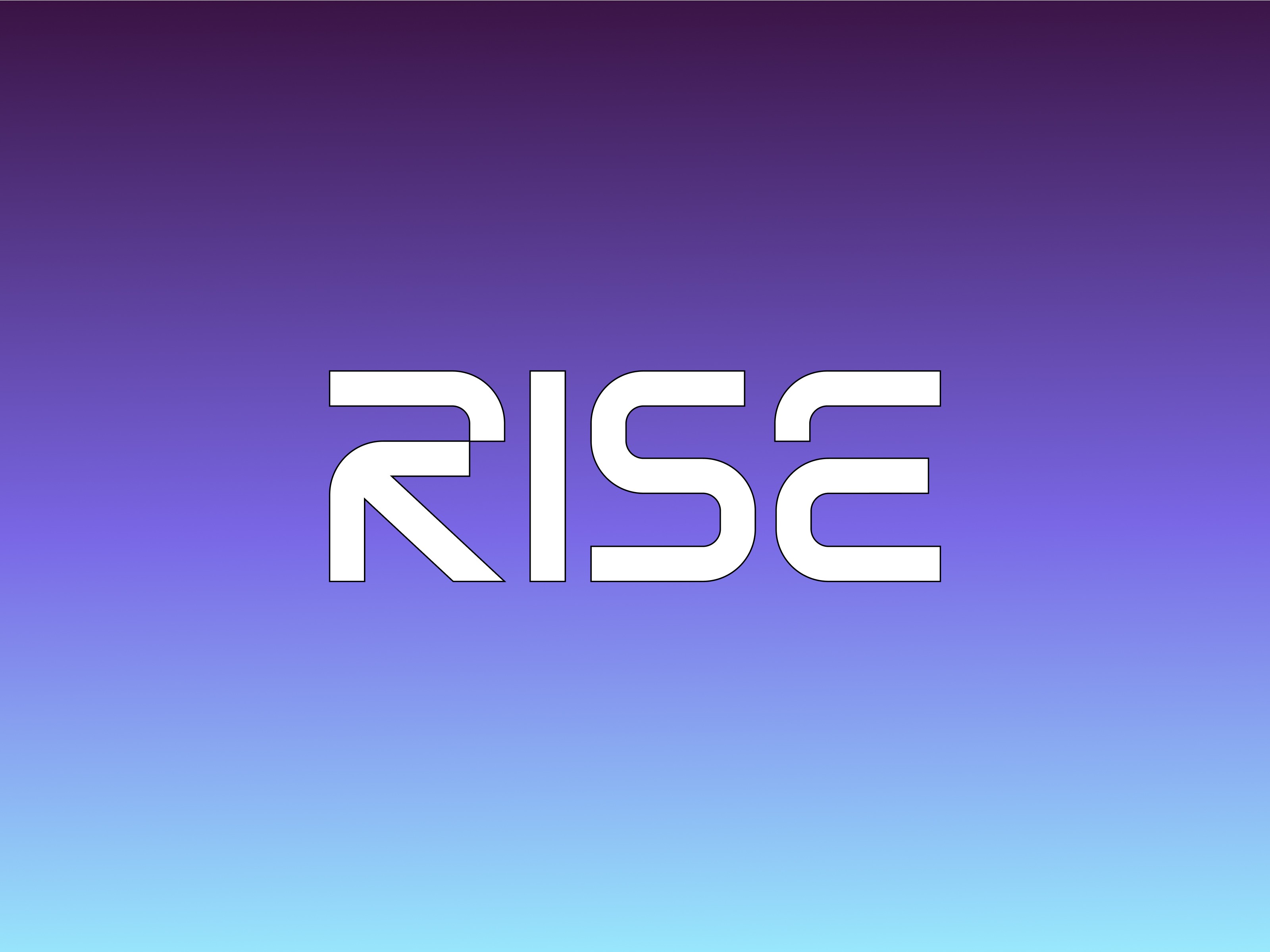 Rise chain branding web3 ux design