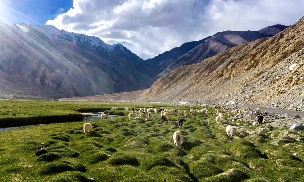 Nubra Valley landscape in Ladakh