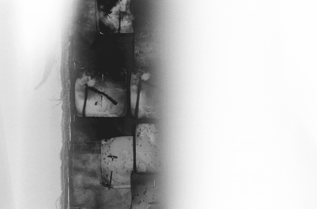 Art, photograph 31