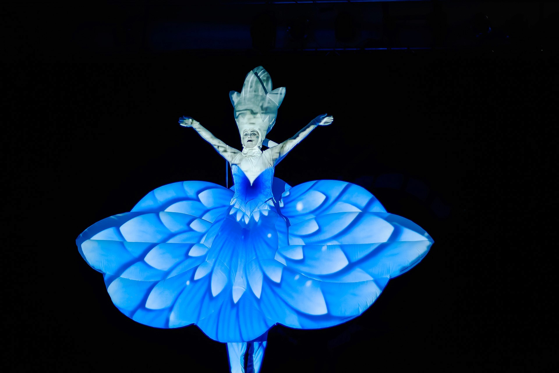 Imago Floris - augmented interactive performance installation