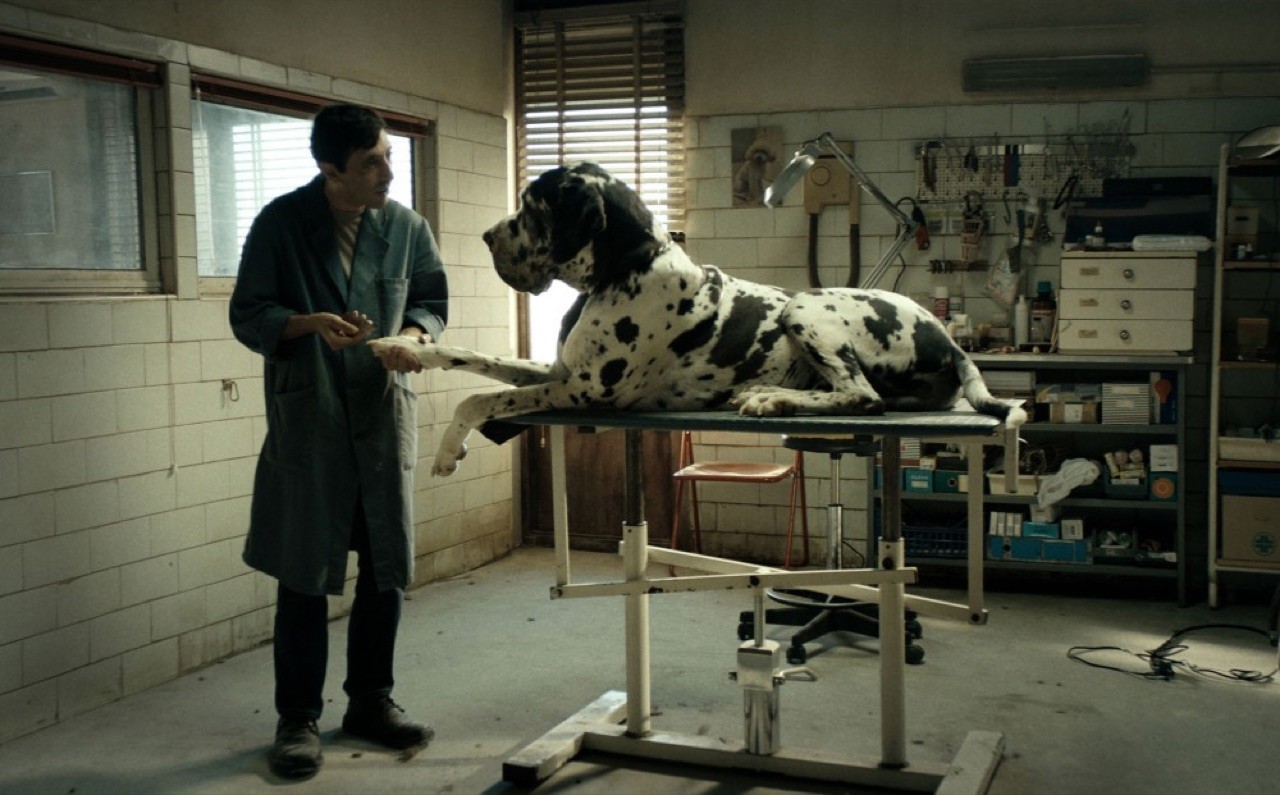 In Dogman lo squilibrio dei corpi diventa geometria quasi favolistica