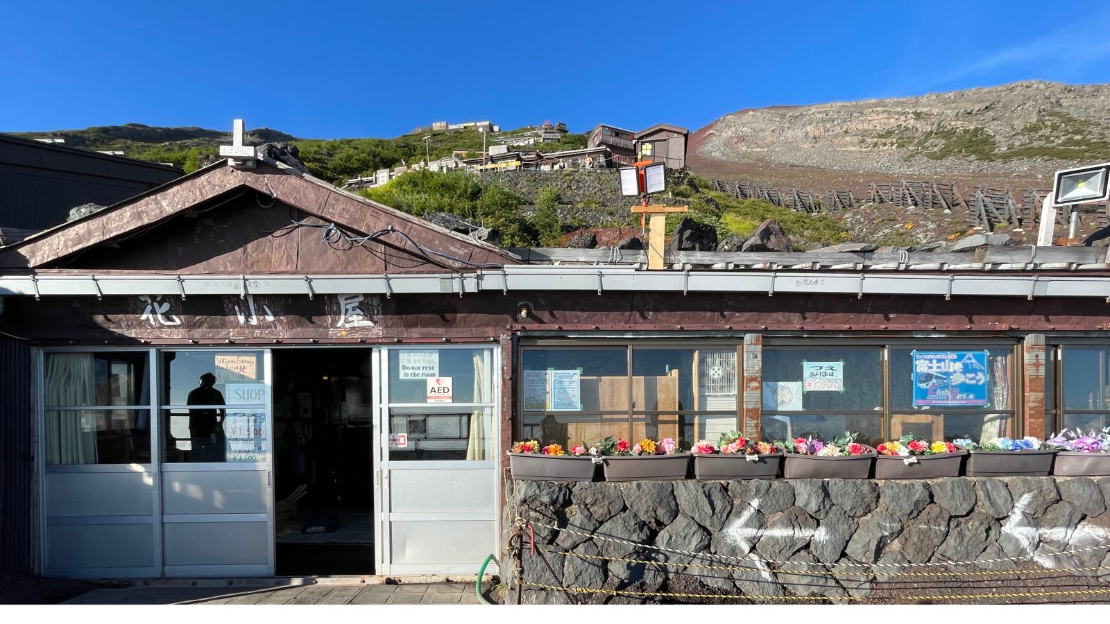 brown and white temple surrounded by green trees during daytime