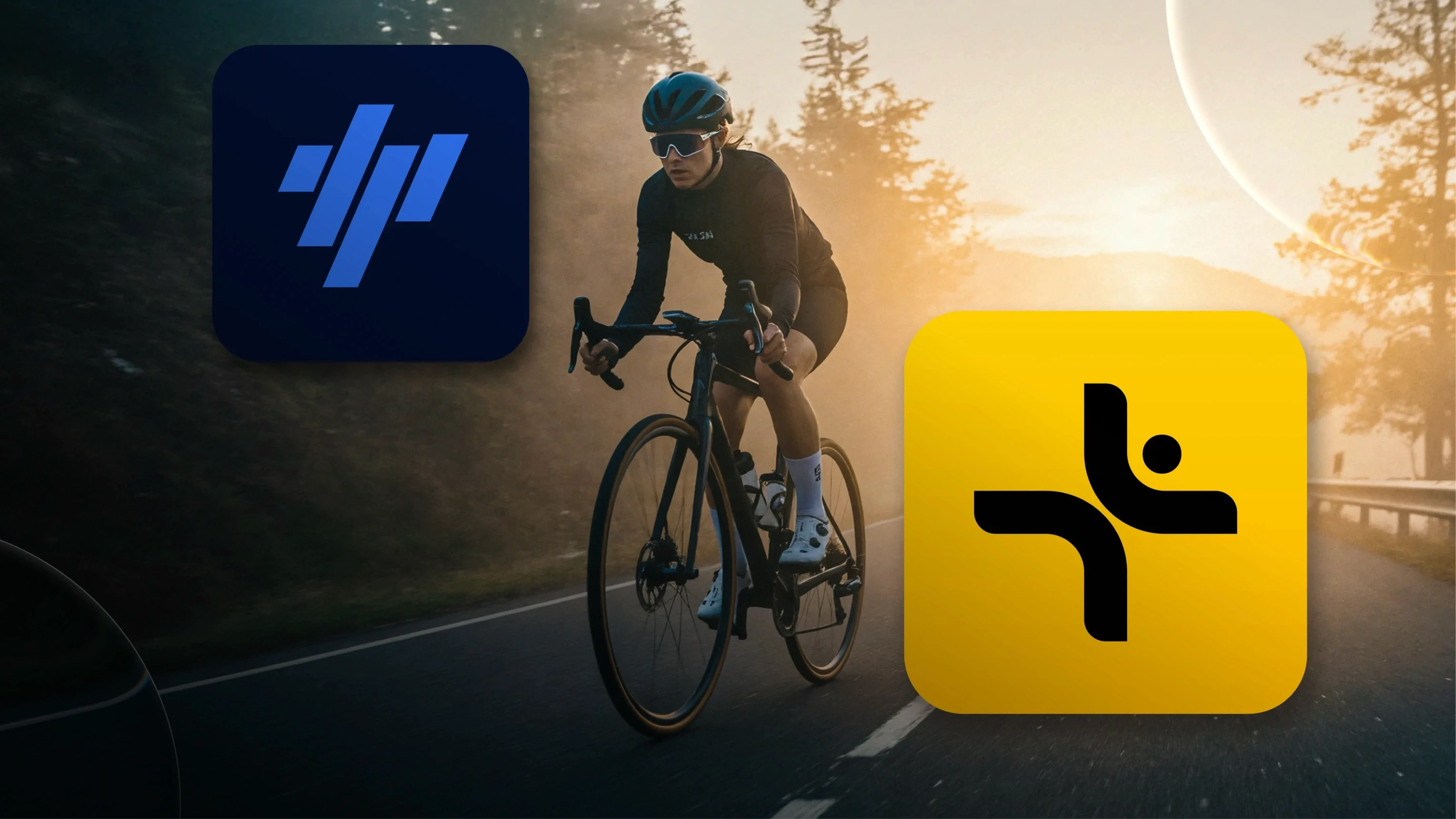 Vekta vs TrainingPeaks: An Honest Comparison