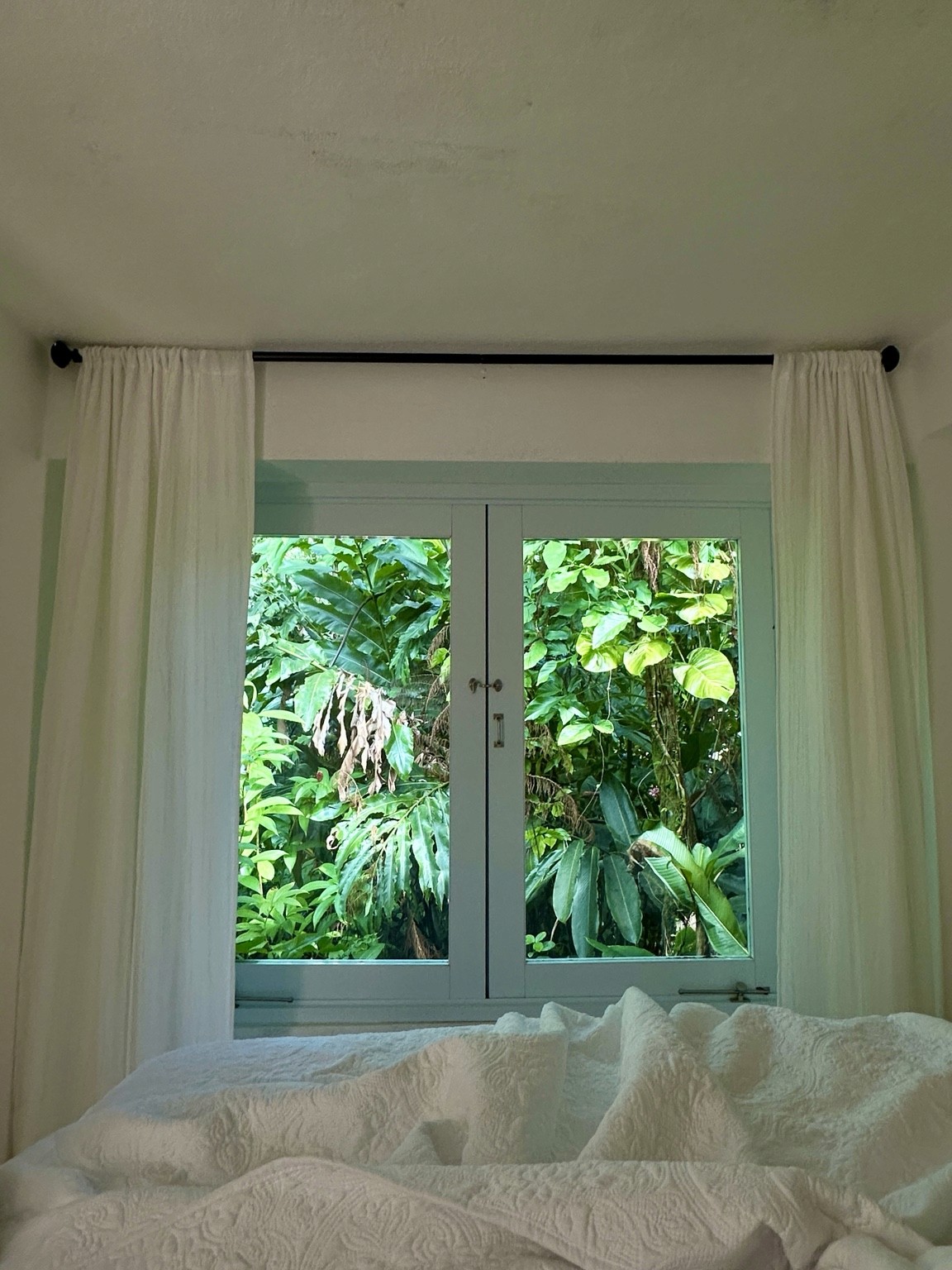 A pale mint double window frames dense tropical leaves above white bedding and between white curtains.