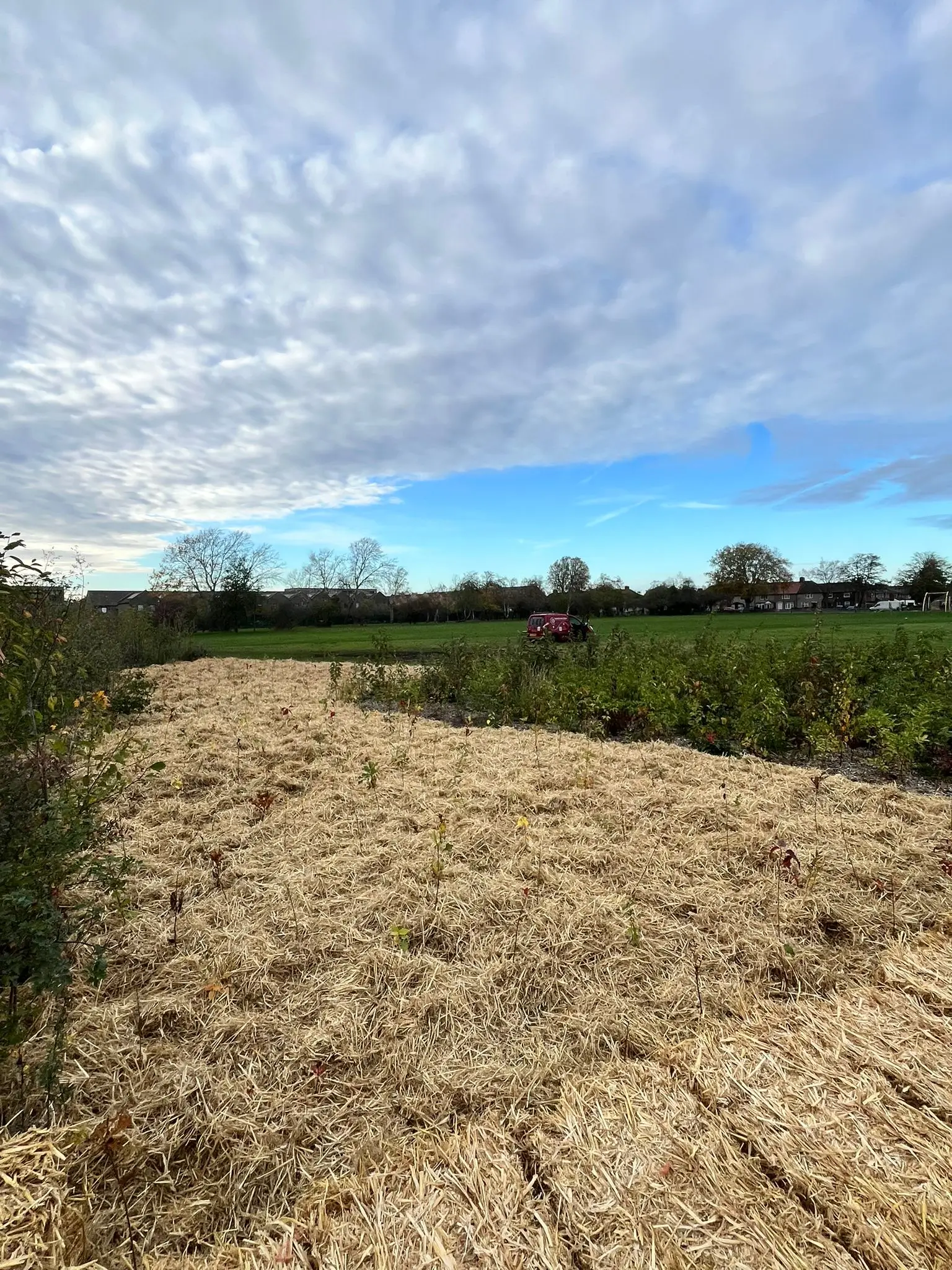 A dirt path through fields under a cloudy sky, with greenery visible in the distance.