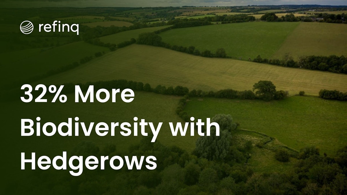 Hedgerows