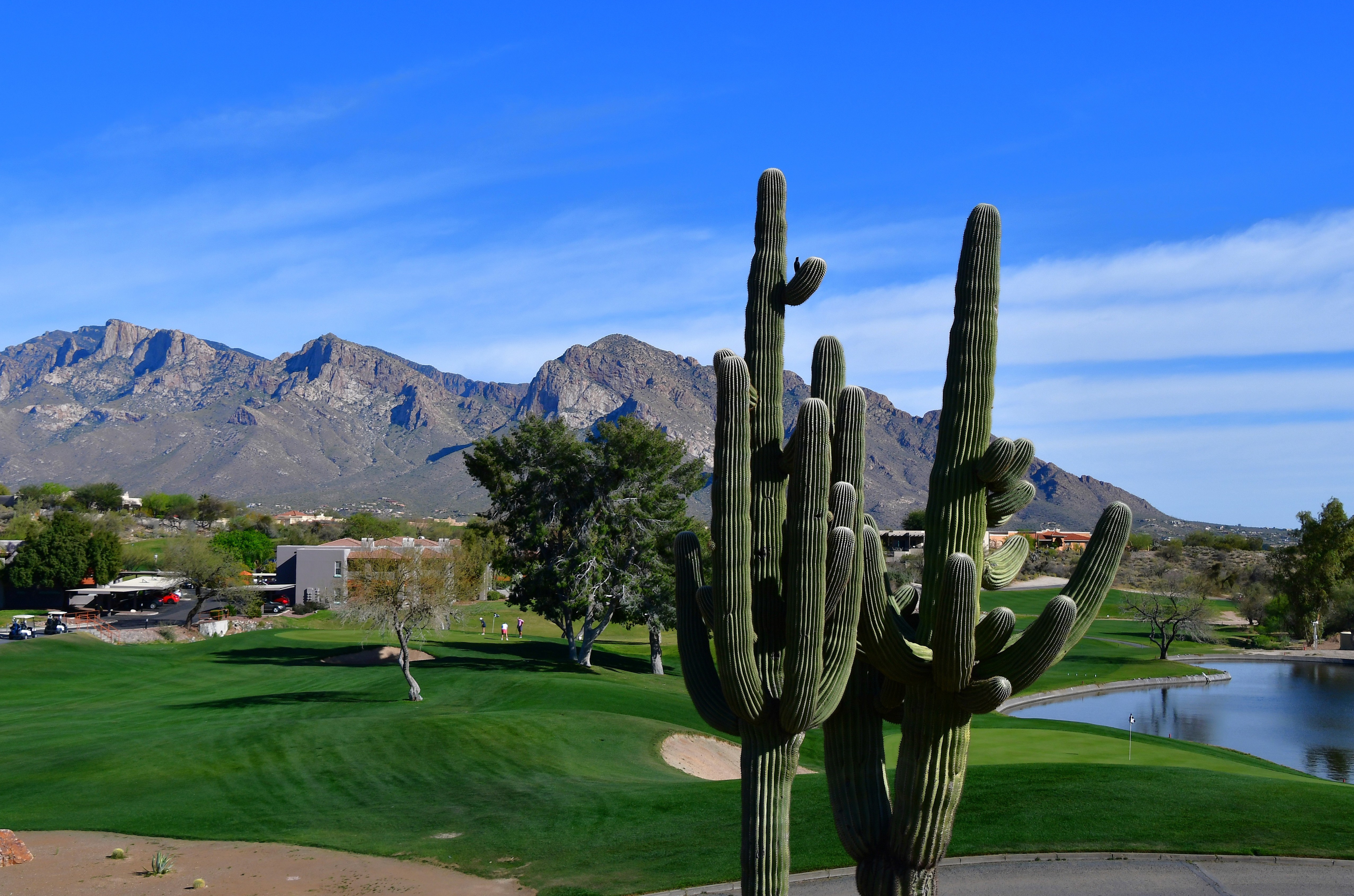 Oro Valley Community Golf Course