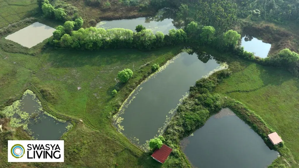 Land Investment Tips in India