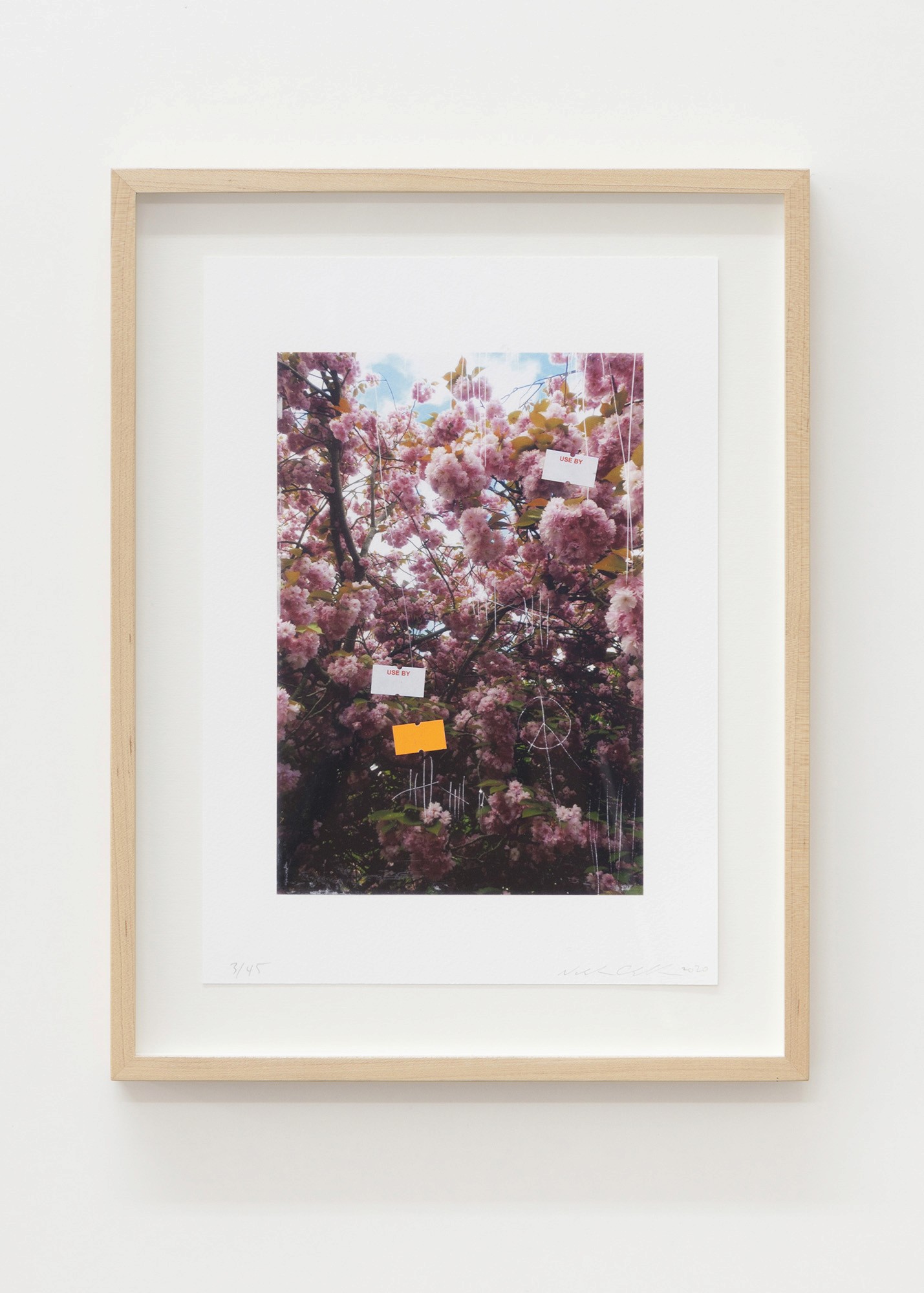 nicholas-cheveldave-edition-emalin-2020