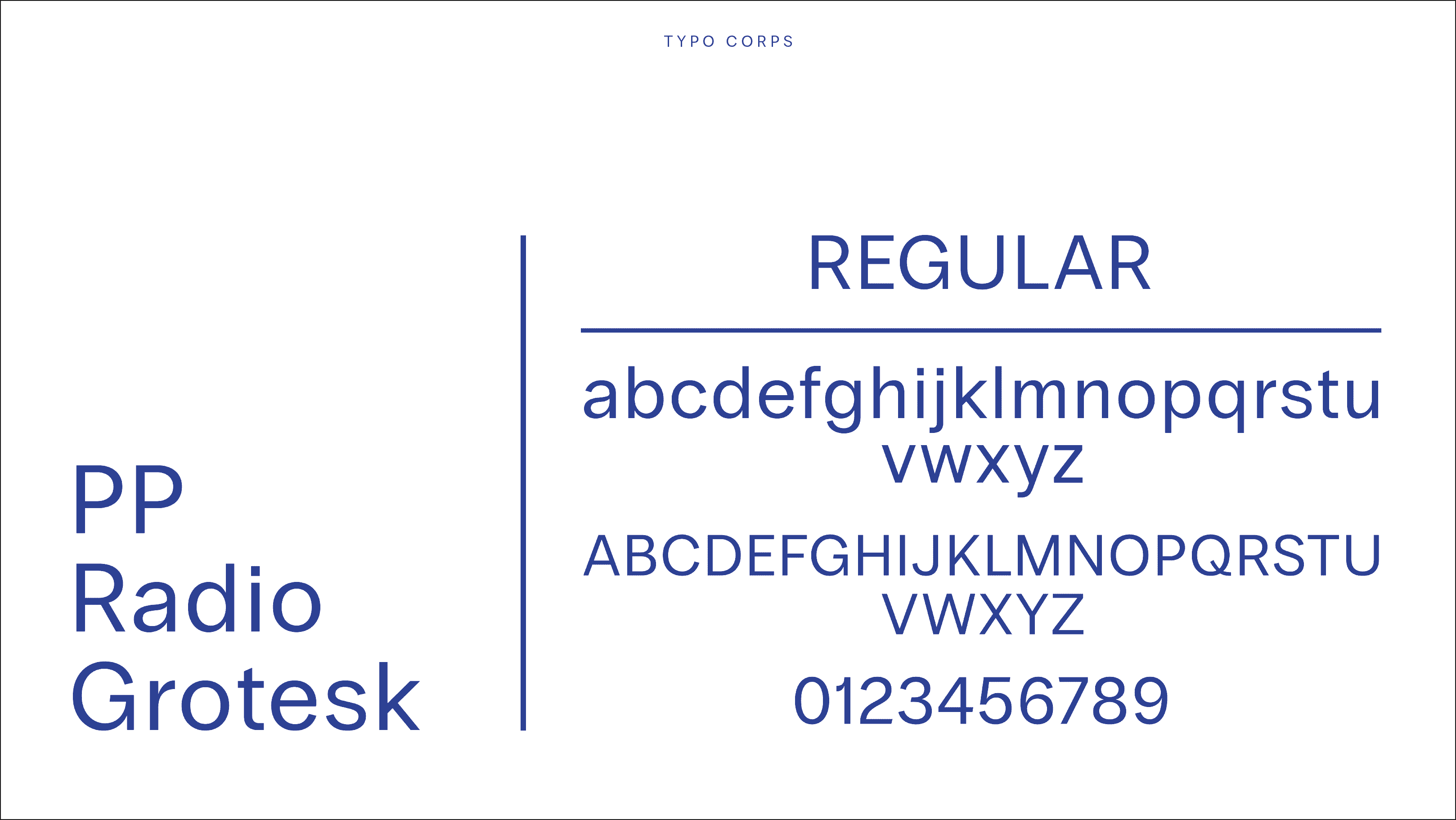 typographie-corps-marcelle-branding-identite-visuelle