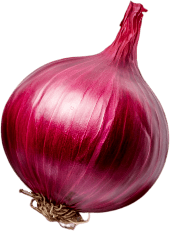 Onion
