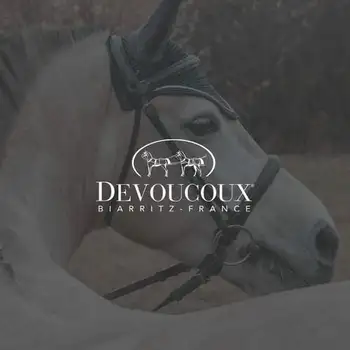 Miniature du projet motion pour devoucoux