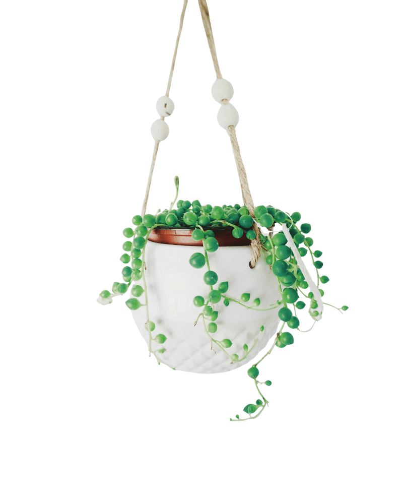 Ceramic Hanging Pot