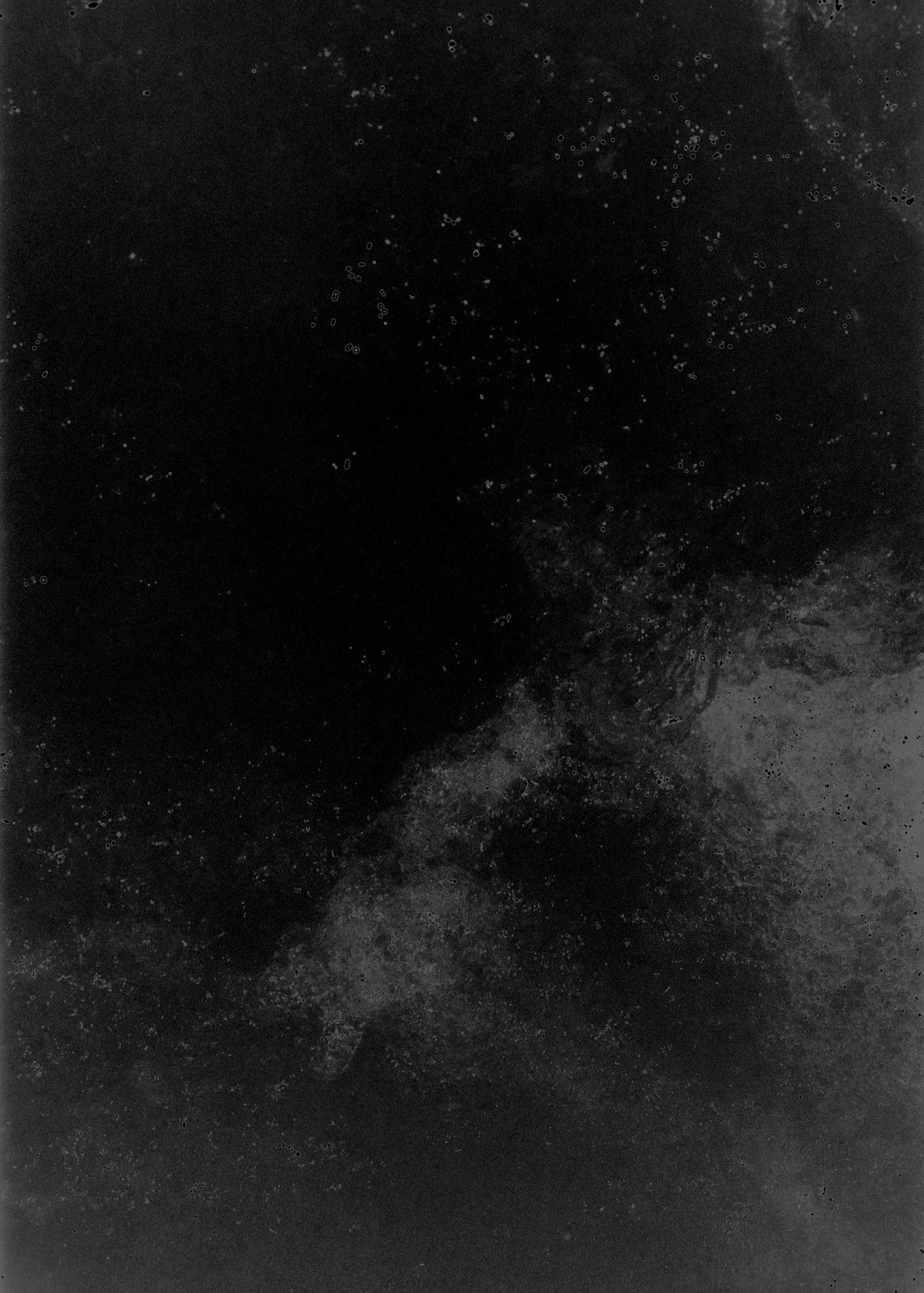 Taisei Matsumoto, 2024 exhibition work 002