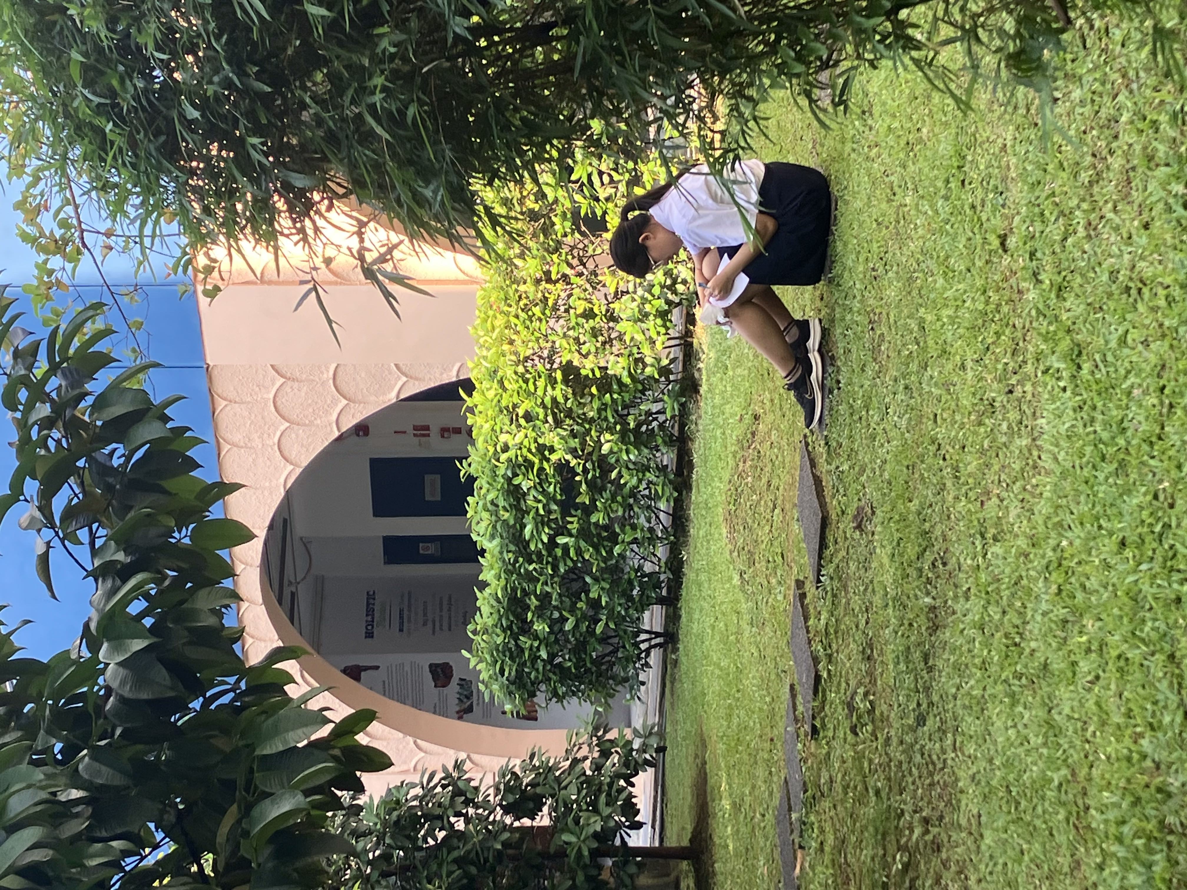 A winding road cuts through rocky terrain, surrounded by patches of green grass and illuminated by sunlight.