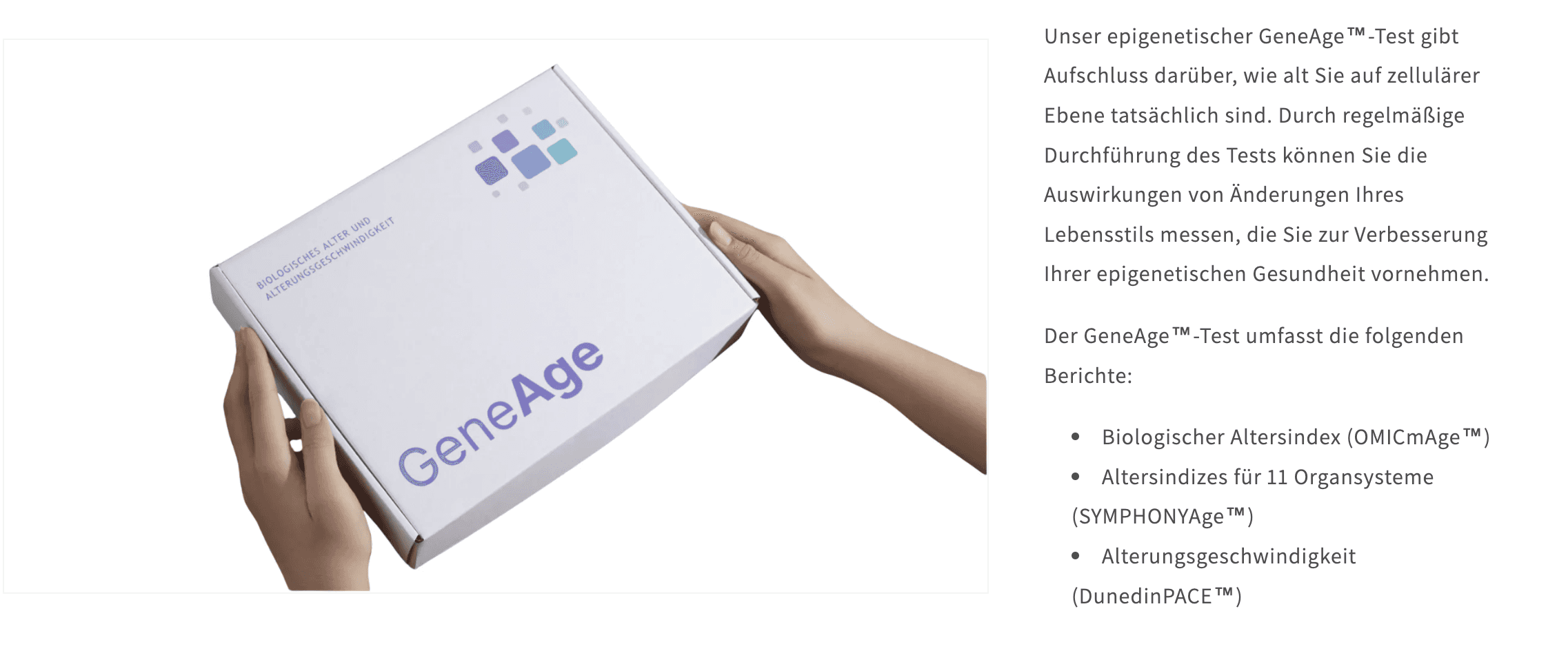Spotlight Image