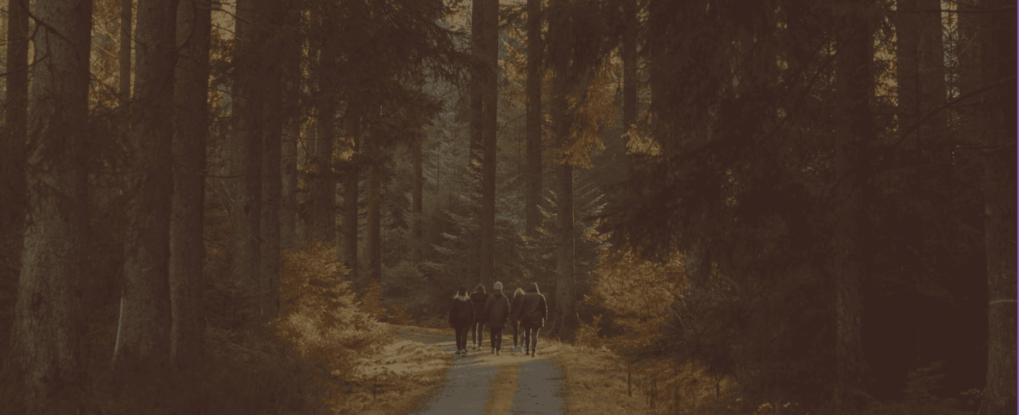 Forest landscape behind the purpose statement