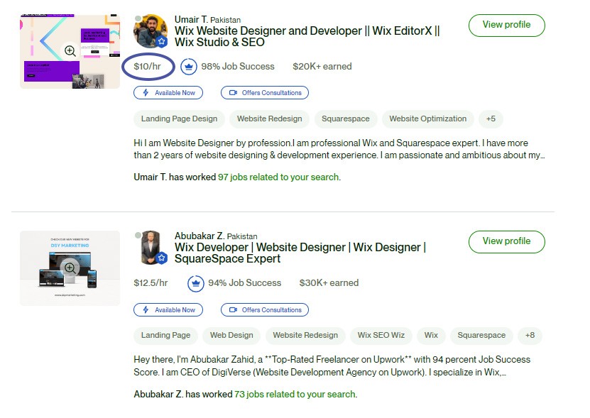 screenshot from upwork showing freelancers from overseas