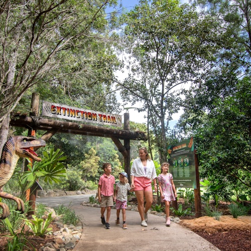 طريق الانقراض