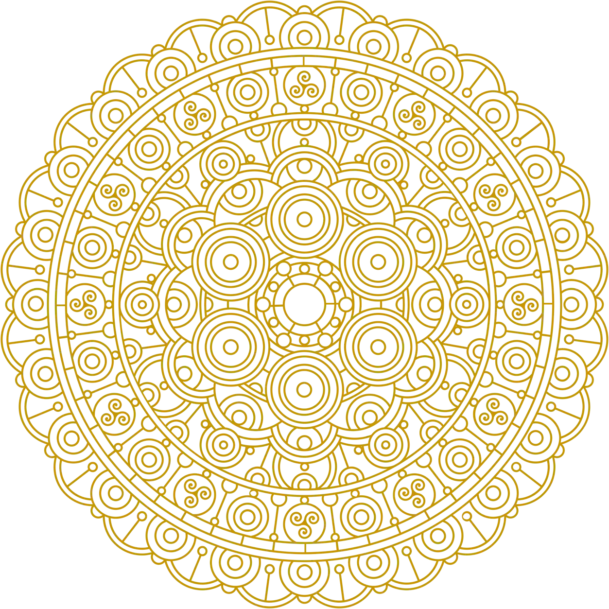 Mandala Kombucha Gingembre