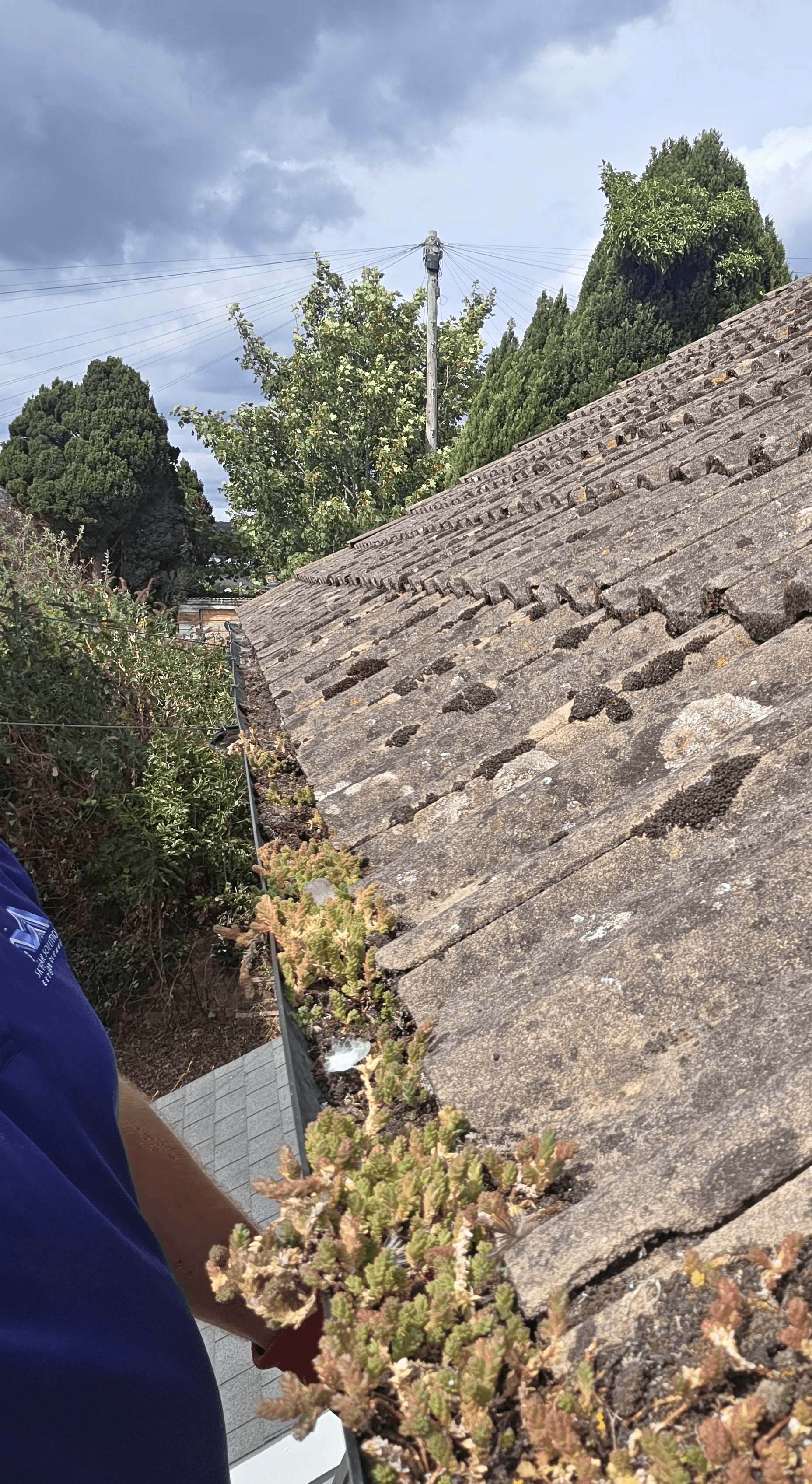 Accumulated moss and debris along a roof-edge gutter