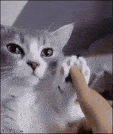 (づ｡◕__◕｡)づ