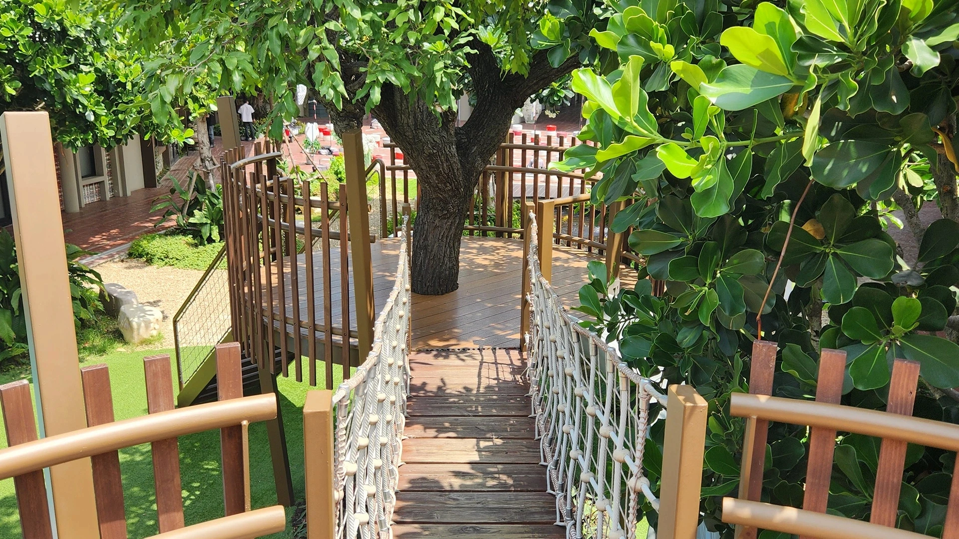 ดอกไม้สีเหลือง