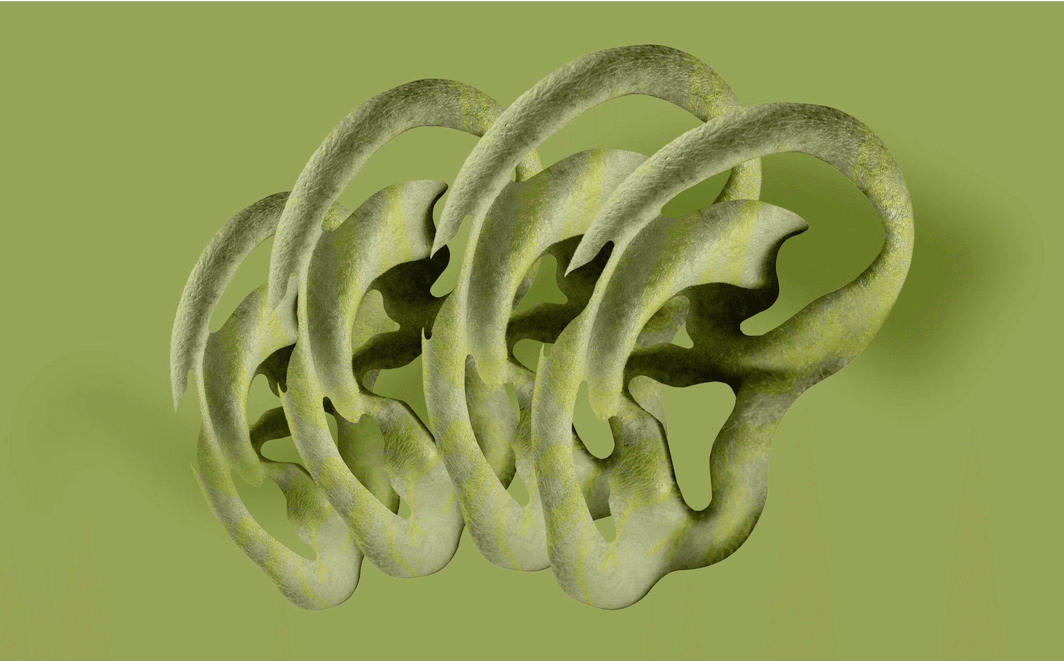 about image 1