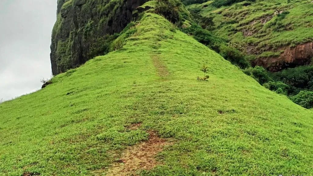 Duke’s Nose View Point Lonovala.webp