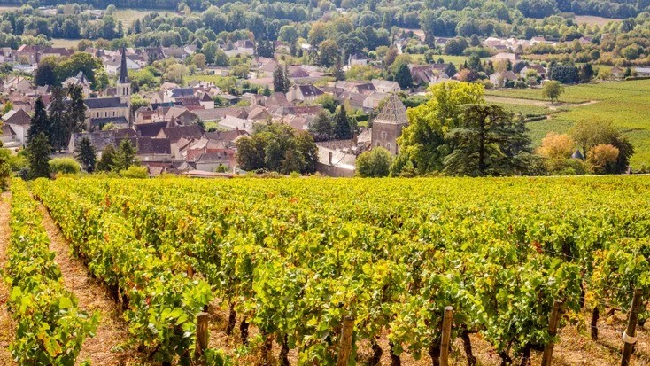 burgundy顏色 勃根地十大酒莊 勃根地紅酒價格 勃根地白酒產區 勃根地分級 勃根地公國 bourgogne發音 勃根地紅酒特色 勃根地紅酒推薦 勃根地紅酒年份 勃根地紅酒杯 勃 根地 地圖 勃根地法文 burgundy顏色 burgundy紅 burgundy意思 法國酒推薦 法國酒介紹 法國酒莊排名 法國酒莊分級 法國紅酒五大產區 法國葡萄酒產區排名 法國 十大 酒 莊 法國 二級 酒 莊