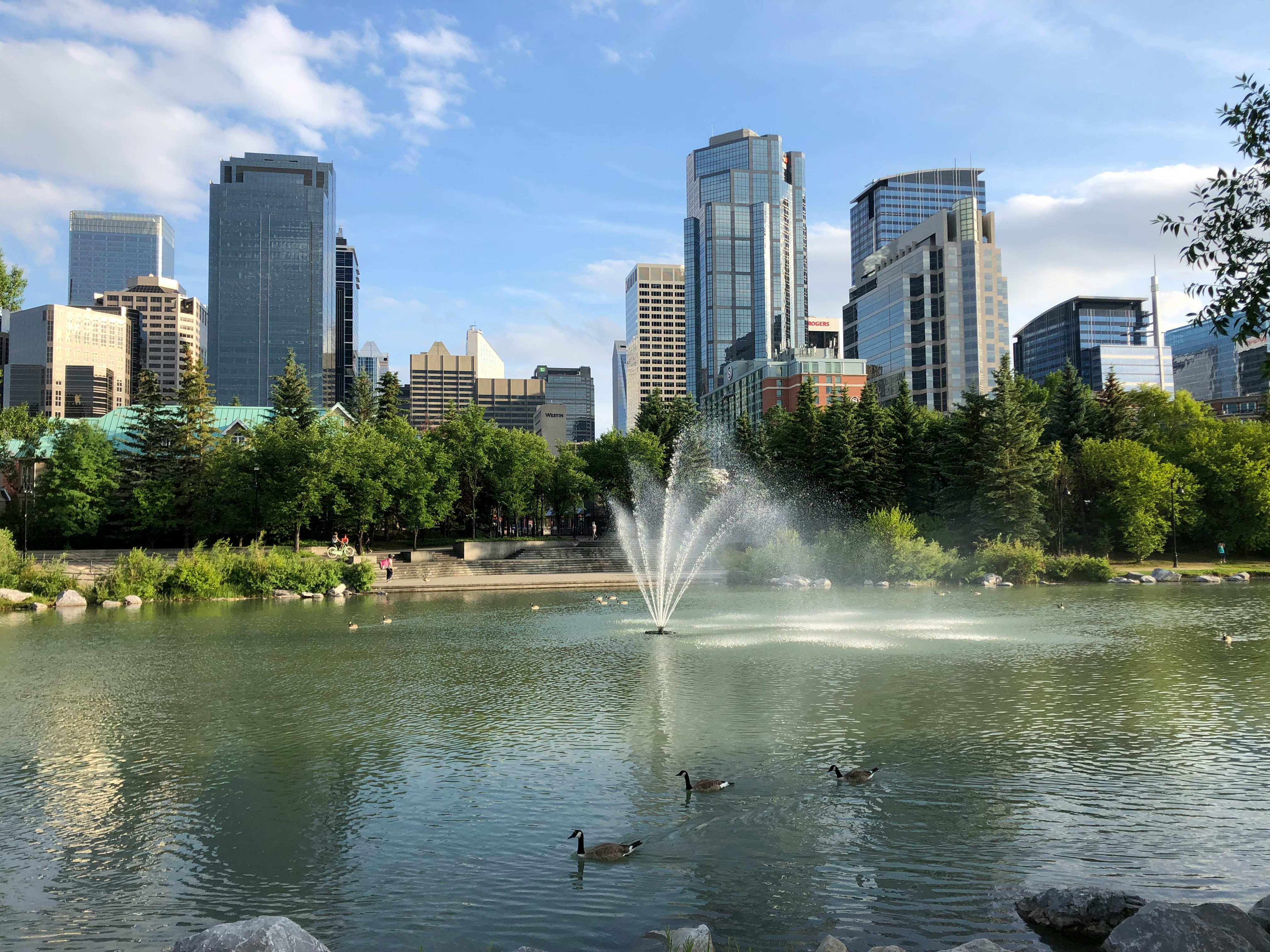 A photo of a pond with the Calgary skyline in the background