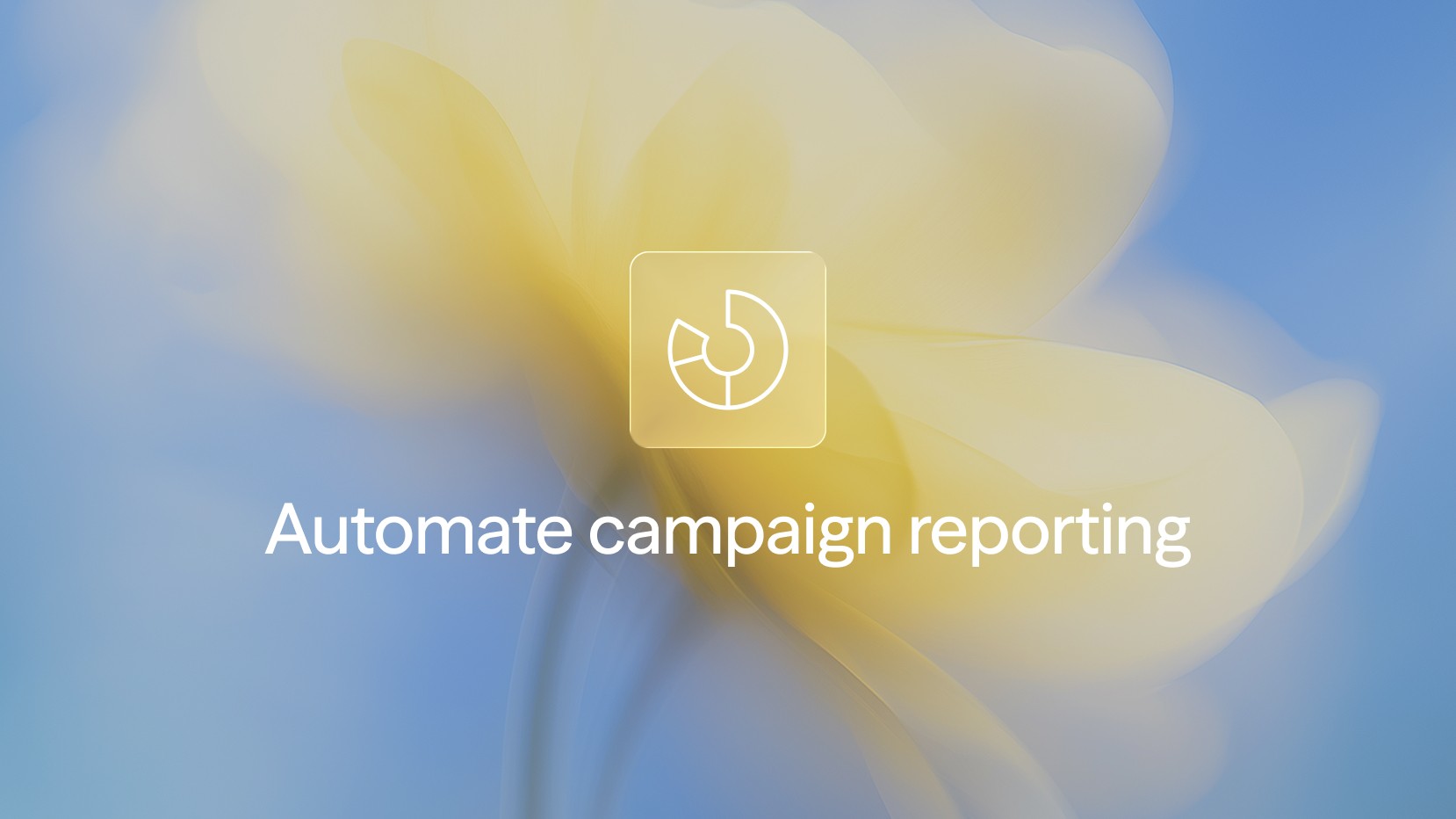 automate campaign reporting