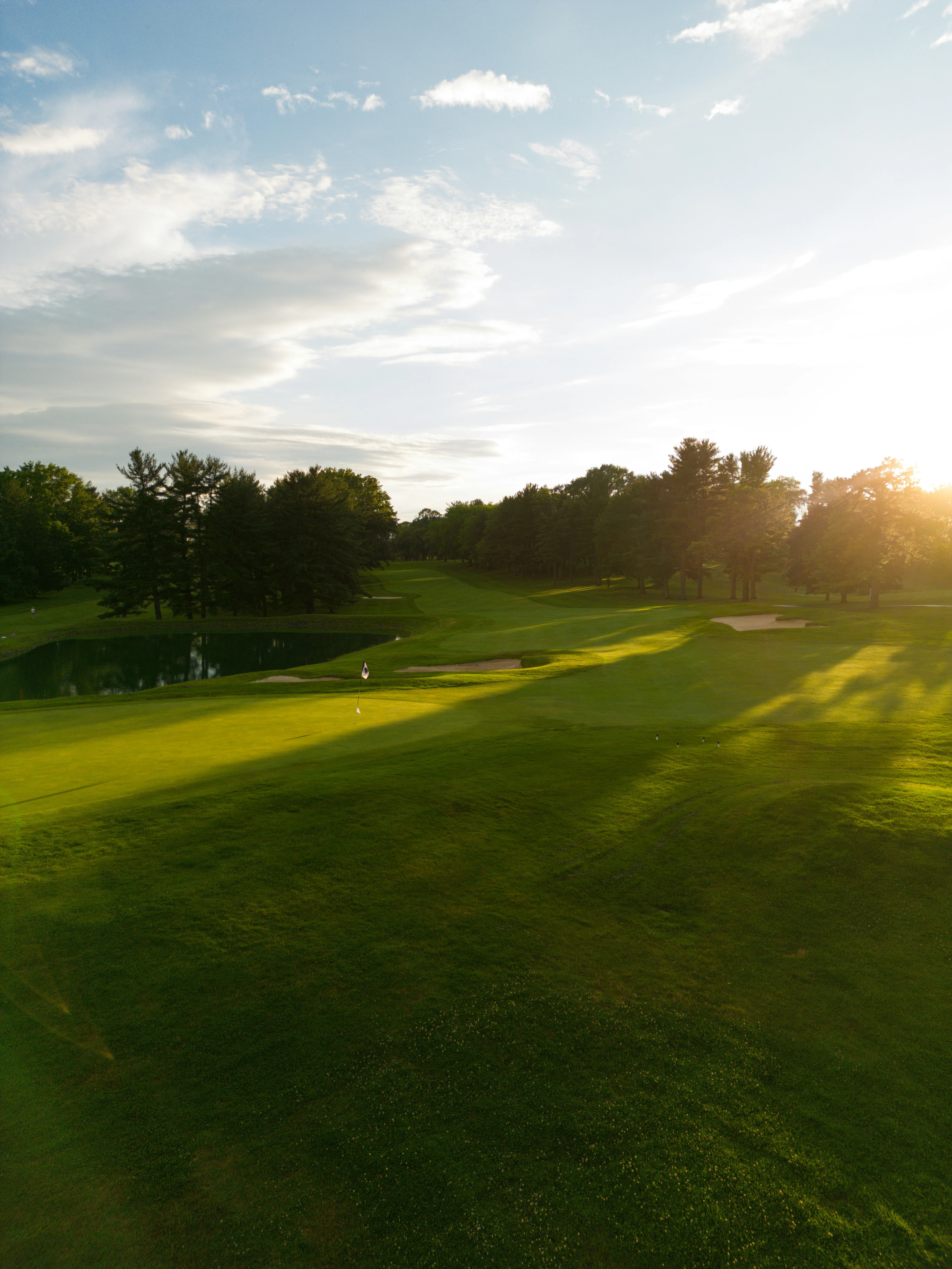 Golfplatz green