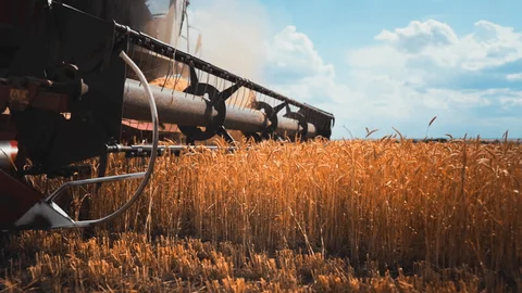 Sirha 2026 à Eurexpo Lyon avec démonstrations culinaires et stands professionnels de la restauration.