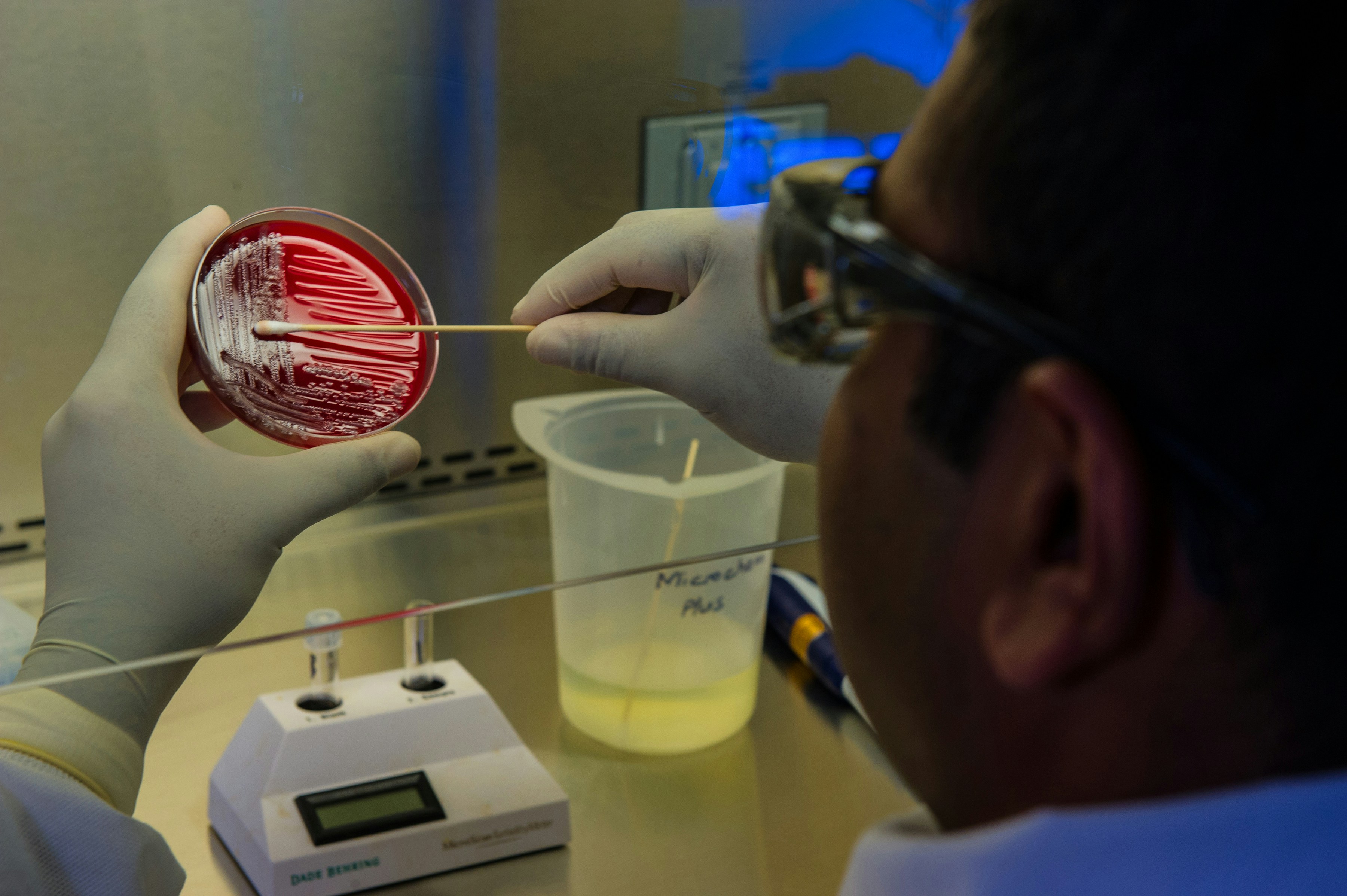 medical officer testing dna - how to pass microbiology