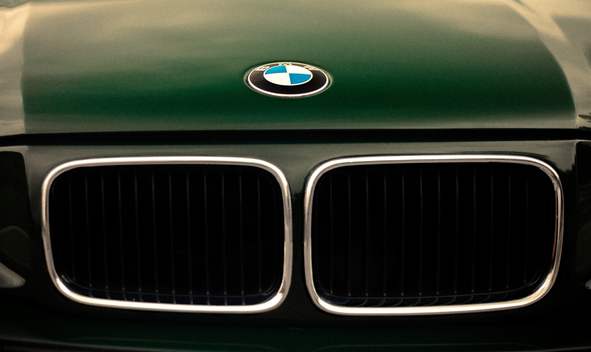 Bmw logo and styels