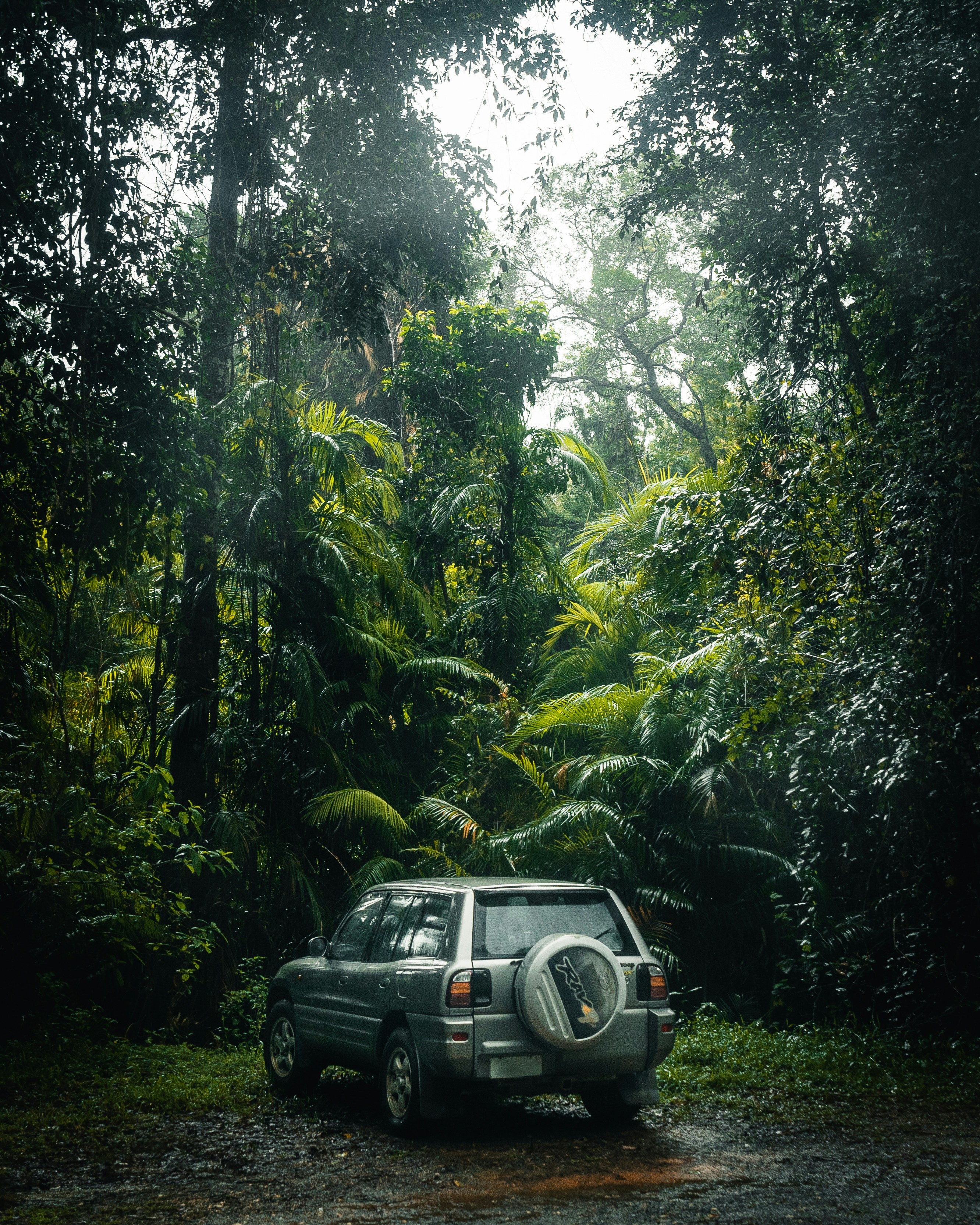 Assurance automobile guadeloupe