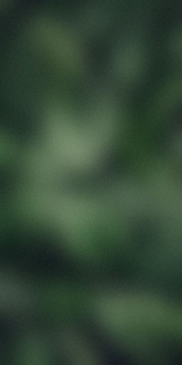 Personalised Supplement 