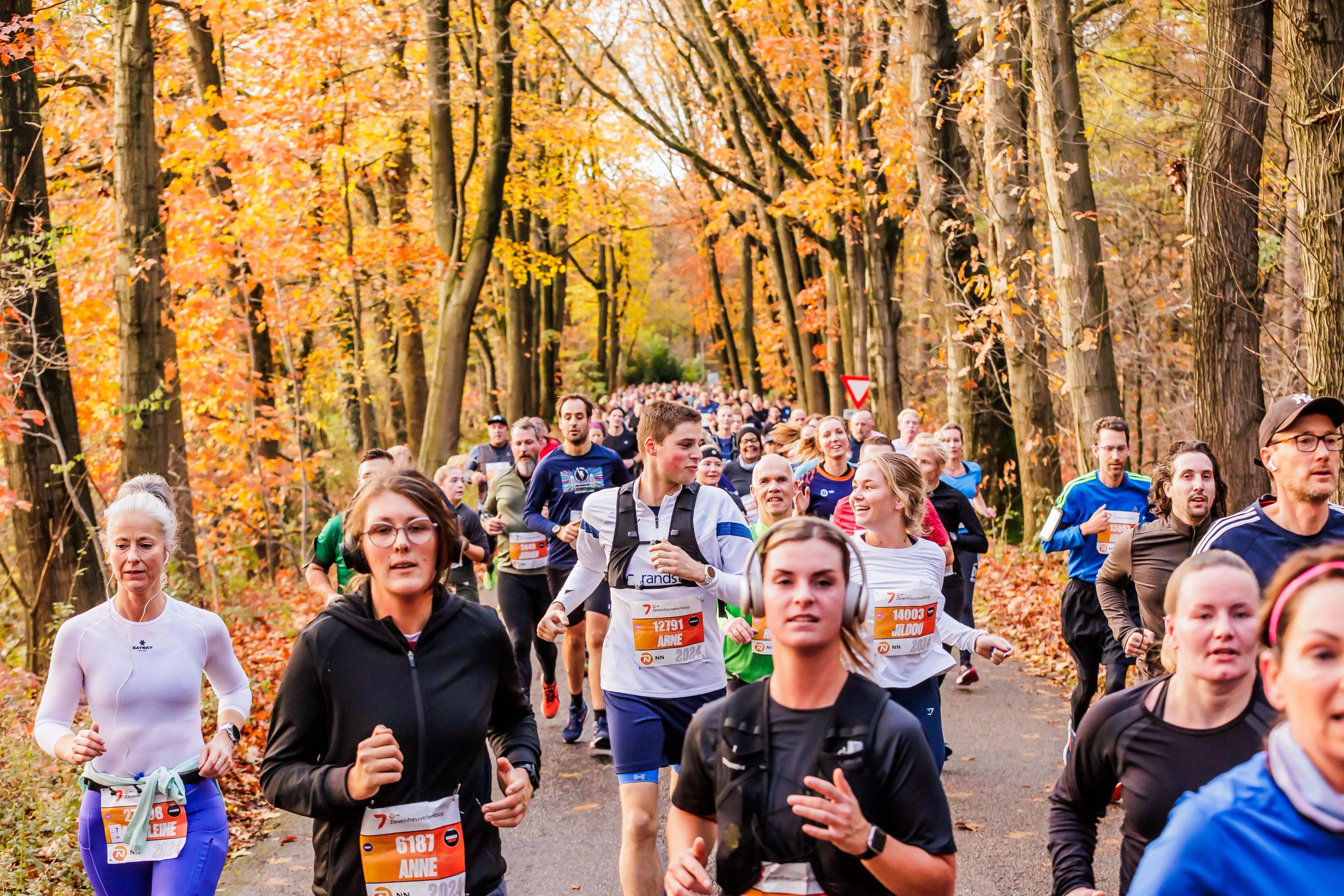 Dam tot damloop