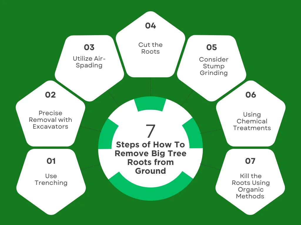 A circular diagram listing how to remove big trees from ground