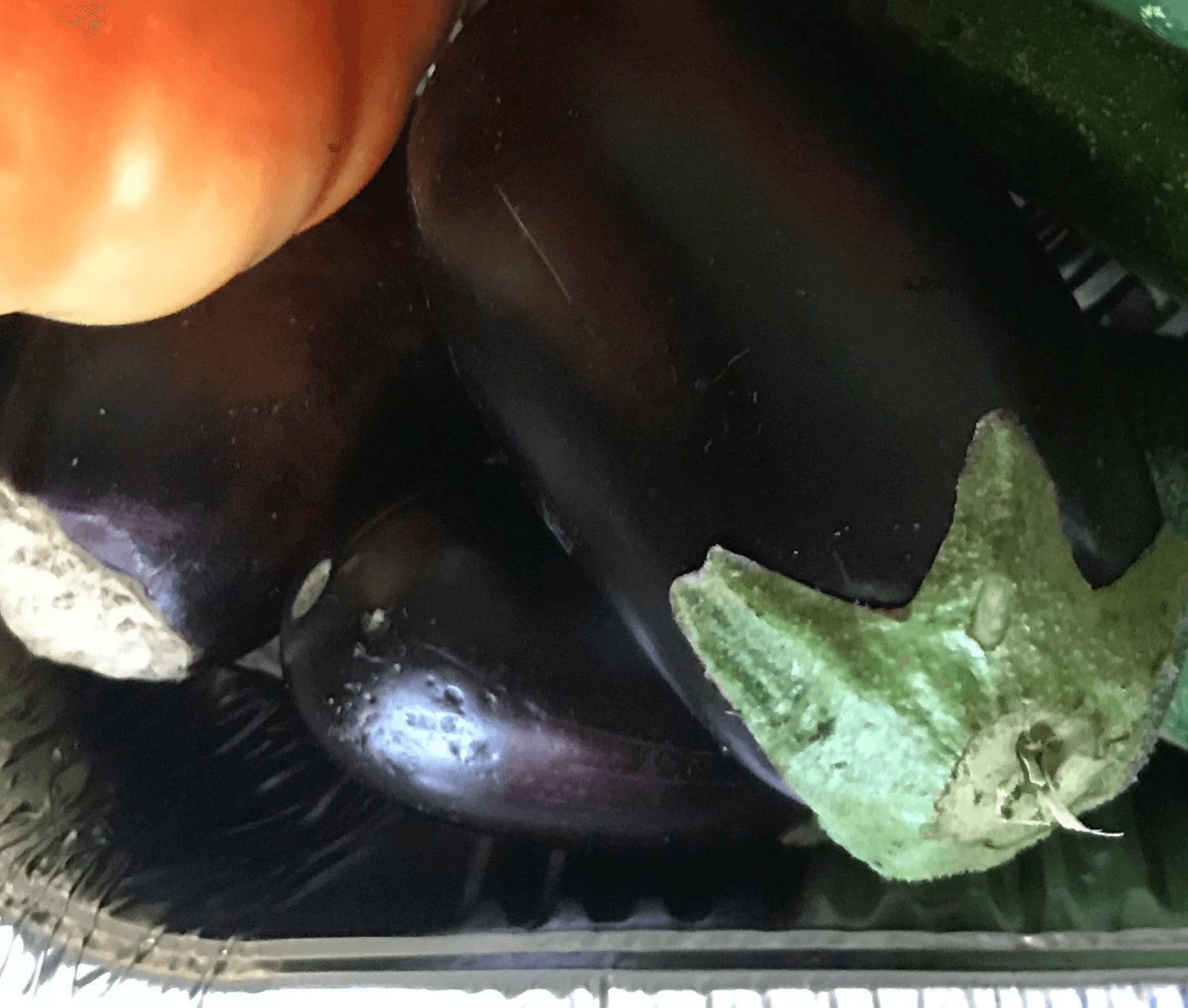 eggplant